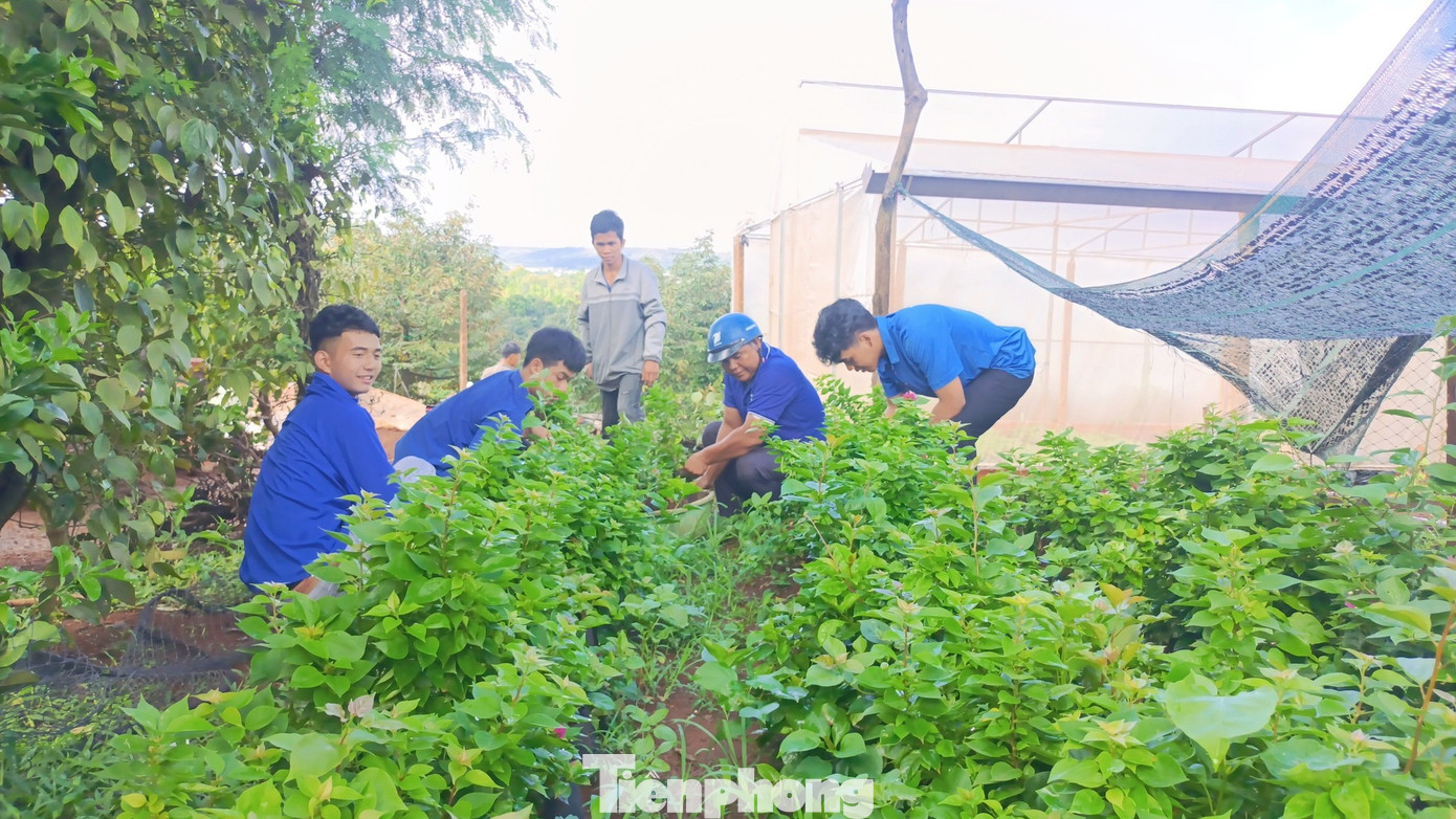 Đoàn viên thực hiện công trình đường hoa thanh niên