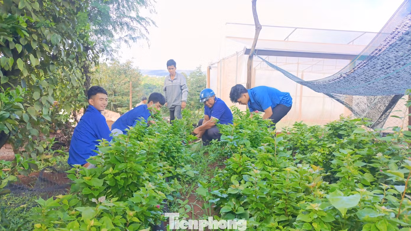 Đoàn viên thực hiện công trình đường hoa thanh niên