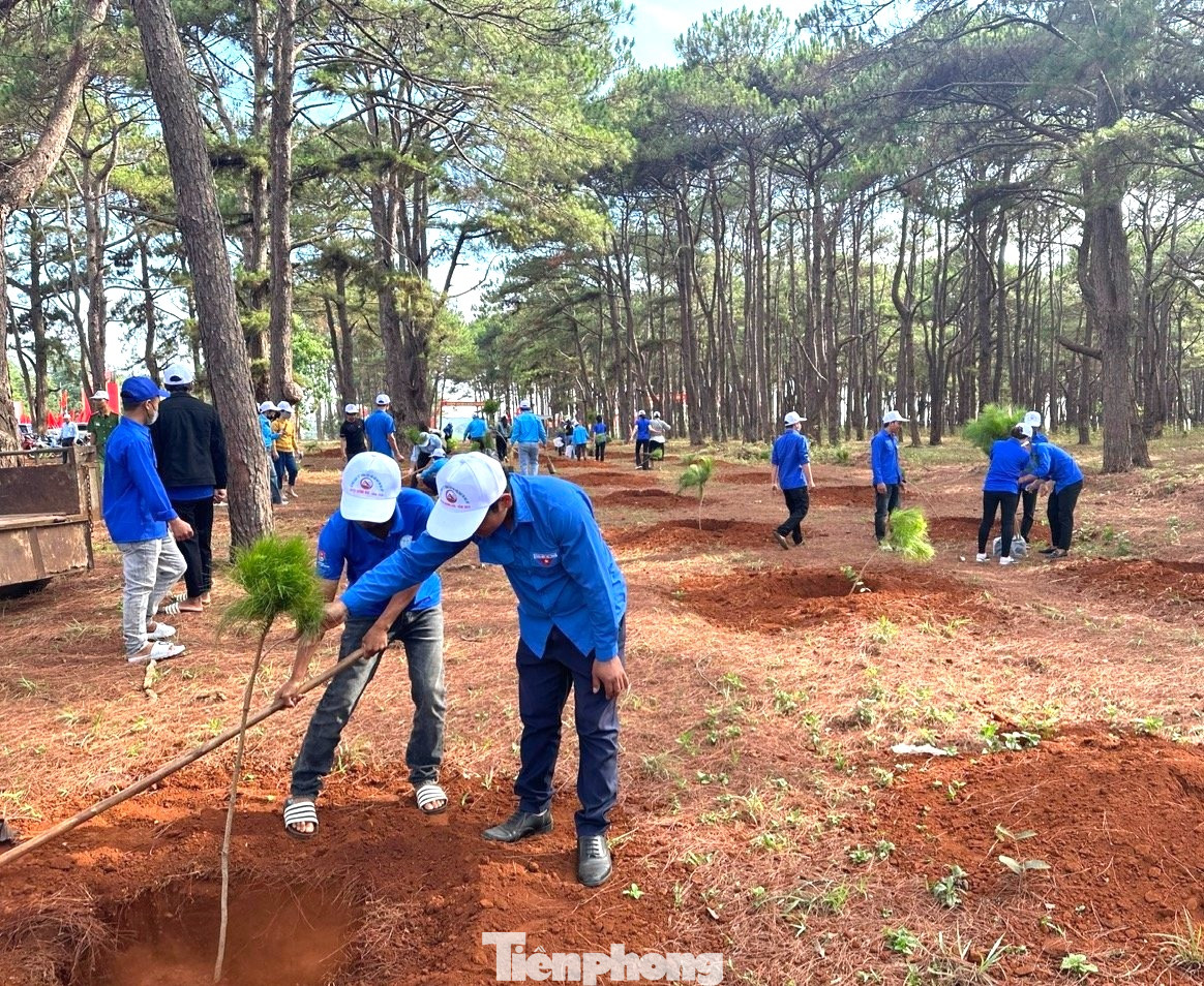 Gần 100 đoàn viên, thanh niên, giáo viên đến từ các cơ sở Đoàn, Hội, Đội trên địa bàn huyện Krông Búk tham gia hưởng ứng Lễ phát động Tết trồng cây năm 2024.