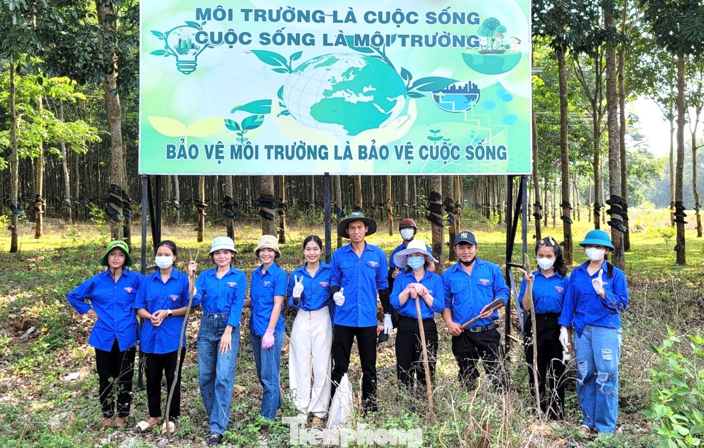 Qua các hoạt động thể hiện tinh thần xung kích, tình nguyện của tuổi trẻ, góp phần bảo vệ môi trường sinh thái, chống biến đổi khí hậu, hình thành thói quen và ý thức về phong trào trồng cây gây rừng, làm đẹp thêm cảnh quan...