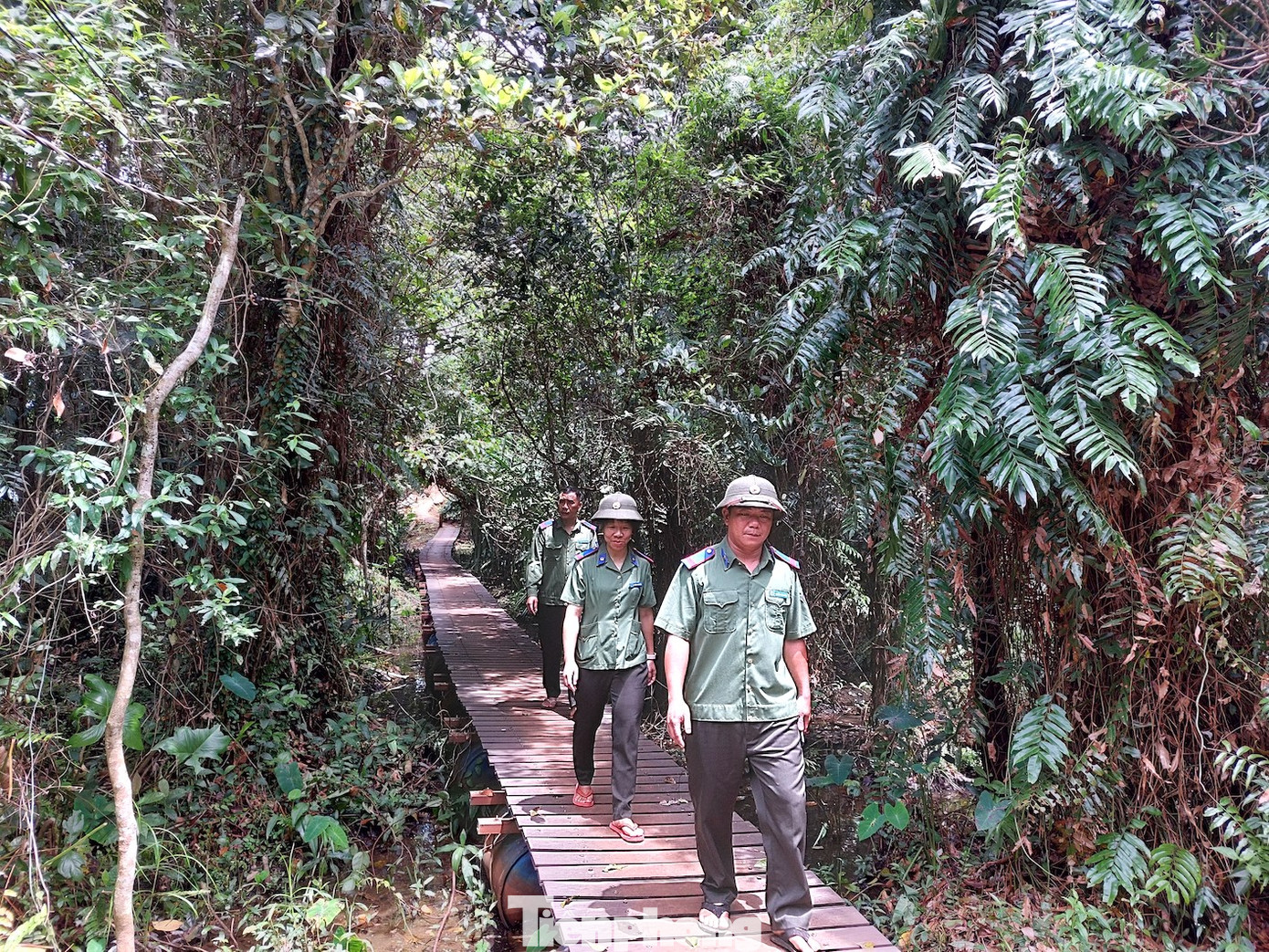 Cả ban có 15 biên chế, trong đó 10 cán bộ quản lý bảo vệ rừng trực tiếp, được chia 2 trạm ở 2 huyện Ea H'leo và Krông Năng. Do lực lượng ít, các cán bộ phải kiêm nhiệm nhiều việc, thay phiên canh giữ 24/24. Những ngày lễ, Tết, cán bộ tuần tra dày đặc hơn.