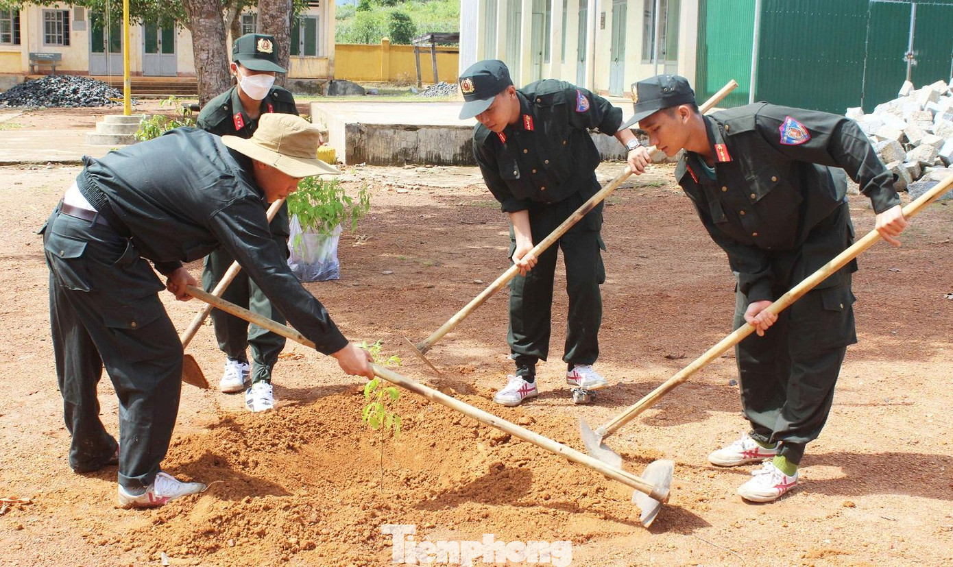 Chiến sĩ Phòng Cảnh sát cơ động trồng cây trong sân trường