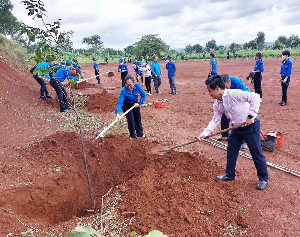 Lãnh đạo các cấp bộ đoàn trồng cây sau lễ ra quân
