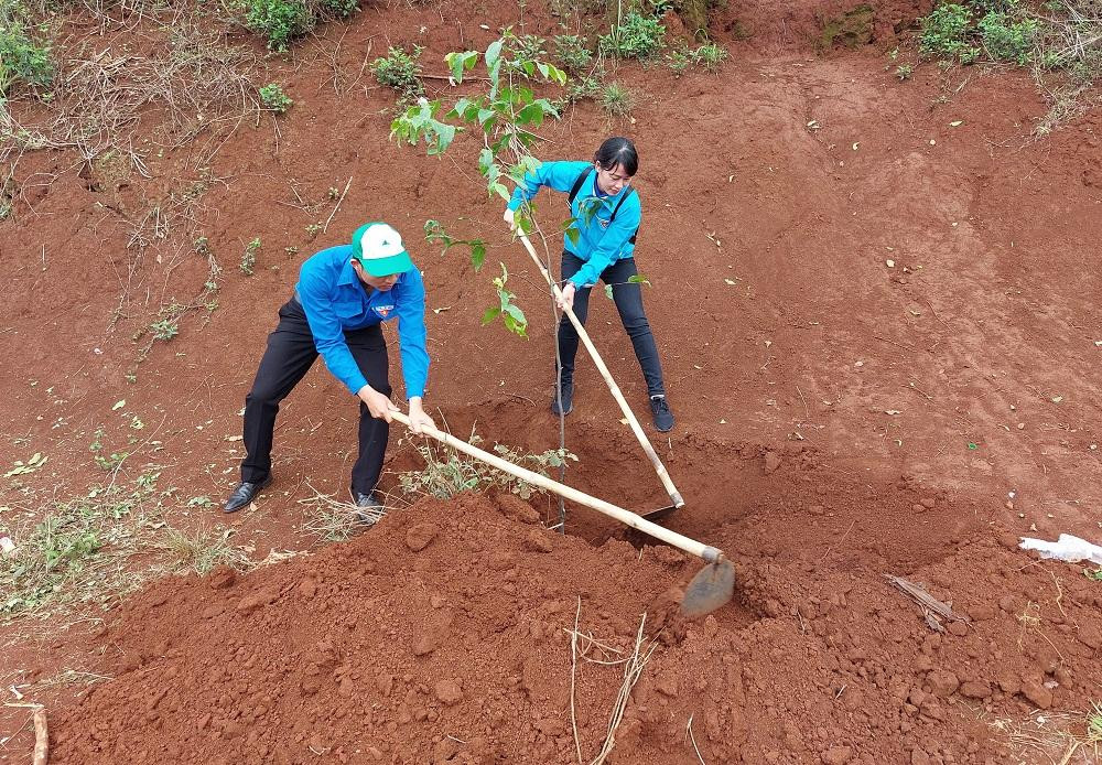 Ngay sau lễ ra quân nhiều hoạt động đã được triển khai