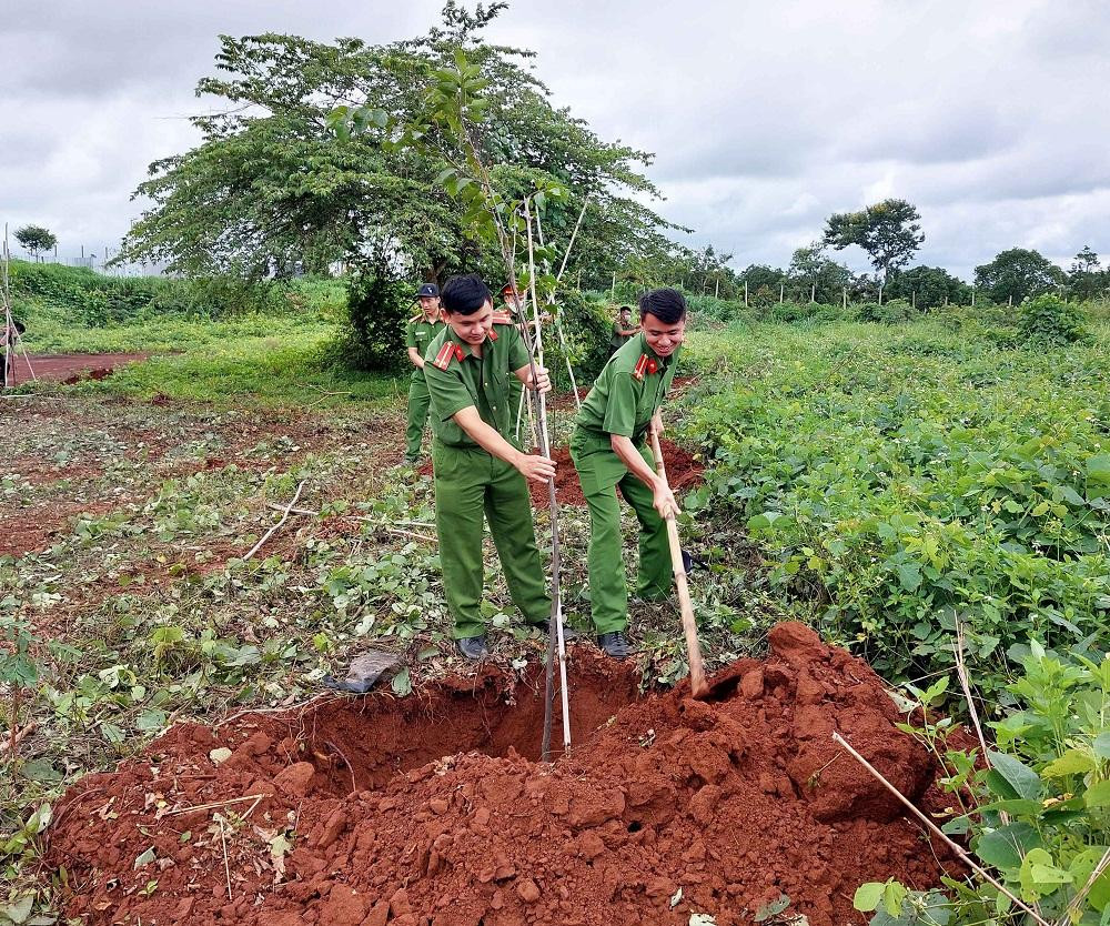 Sau lễ ra quân trồng 100 cây xanh