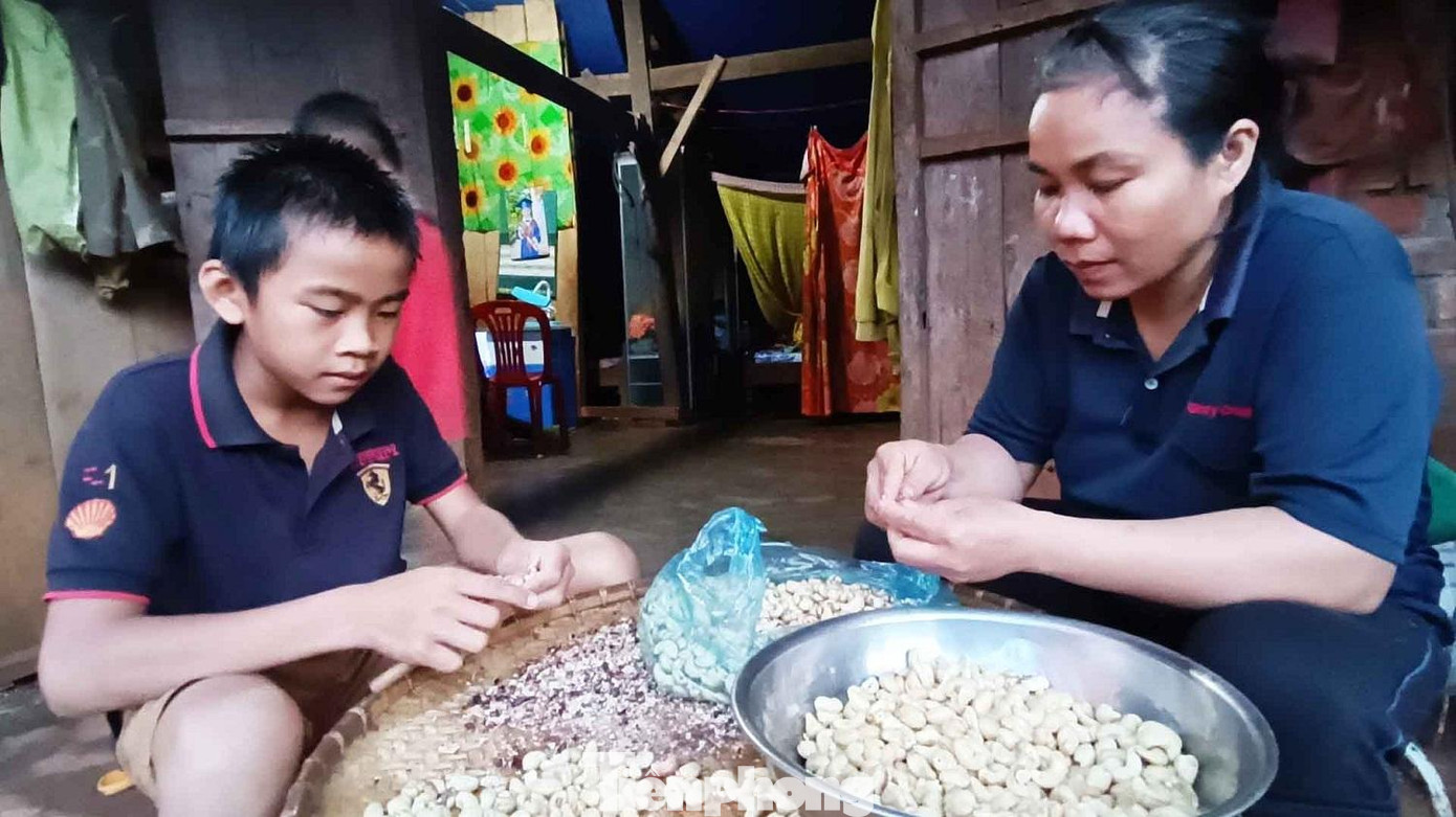 Em Xa Trung Hiếu cùng mẹ tách vỏ hạt điều