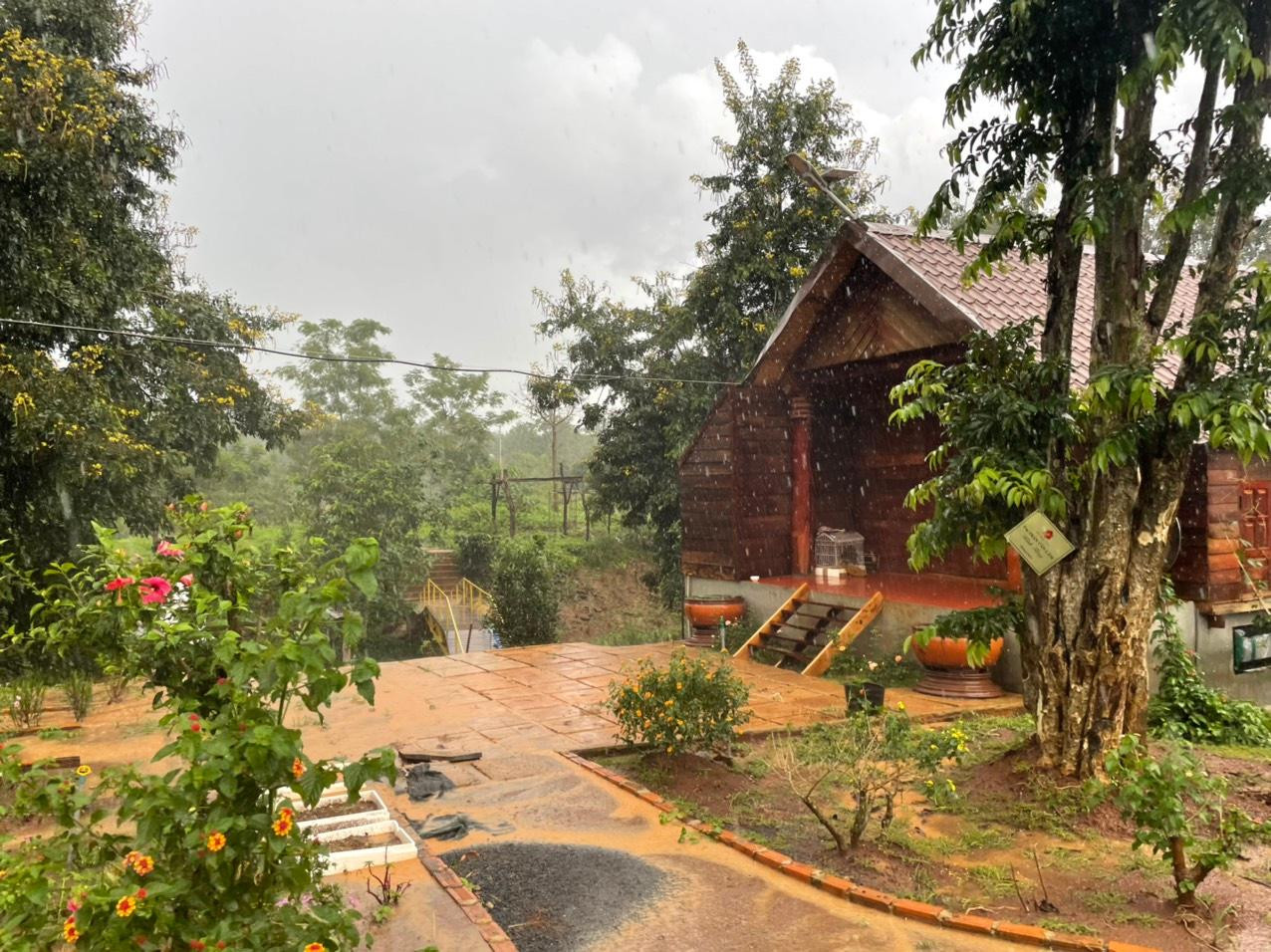 Trao đổi với Tiền Phong, ông Phạm Thanh Bình - Chủ tịch xã Tân Lập (huyện Krông Búk) xác nhận, chủ lô đất là ông Nguyễn Tuấn Anh (trú phường An Lạc, thị xã Buôn Hồ), toàn bộ đất được san ủi xây dựng trái phép và cơ quan chức năng đang yêu cầu tháo dỡ. Trước đó, ngày 27/4/2021, tổ công tác của đội Địa chính xã Tân Lập đã lập biên bản, yêu cầu ông Tuấn Anh ngừng việc thi công các hạng mục kiên cố trên. Thời điểm kiểm tra, ông Tuấn Anh đã xây 8 trụ bê tông cao 1,5m, và giải thích để làm nhà tạm canh giữ cây trồng. Tổ công tác yêu cầu ông Tuấn Anh phải sử dụng đất đúng mục đích theo quy hoạch đã phê duyệt (đất nông nghiệp, chỉ được trồng cây).