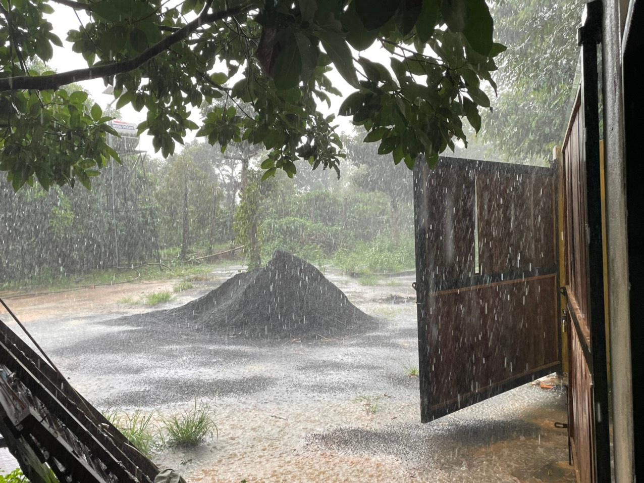 Theo ghi nhận thực tế, mảnh đất này tọa lạc ở thôn 2, xã Tân Lập, huyện Krông Búk