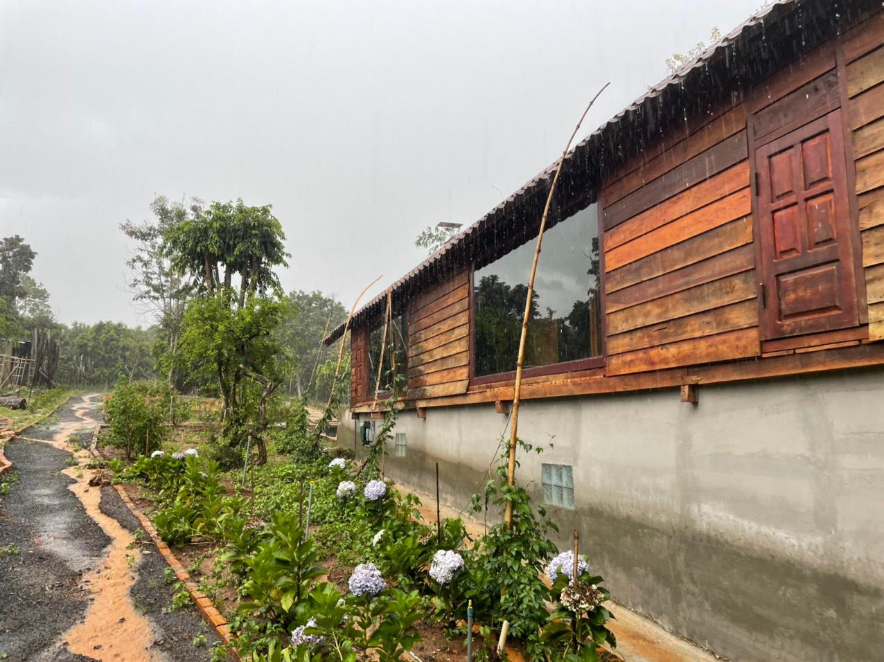 Ngôi nhà cấp 4 được xây kiên cố. Qua tìm hiểu, bên trong ngôi nhà có 3 phòng ngủ, 1 phòng khách và xây dựng theo kiểu nhà sàn ở Tây Nguyên. Tại khu vực nghỉ dưỡng này còn có nhiều cây cảnh giá trị lớn.