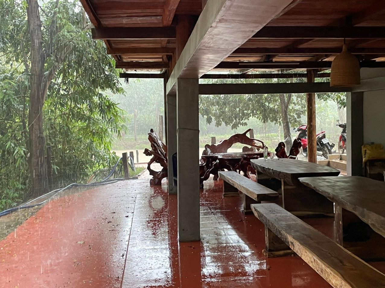 Phía sau khu vực nhà gỗ có nhiều khối gỗ thành phẩm.