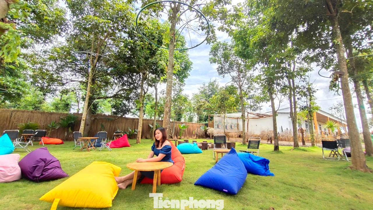 Không chỉ là địa điểm để thư giãn, thưởng thức đồ uống, nhiều quán cà phê ở thành phố đã cất công đầu tư trang trí quán theo phong cách đẹp, độc lạ khác nhau để khách hàng thỏa sức chụp hình “sống ảo”.