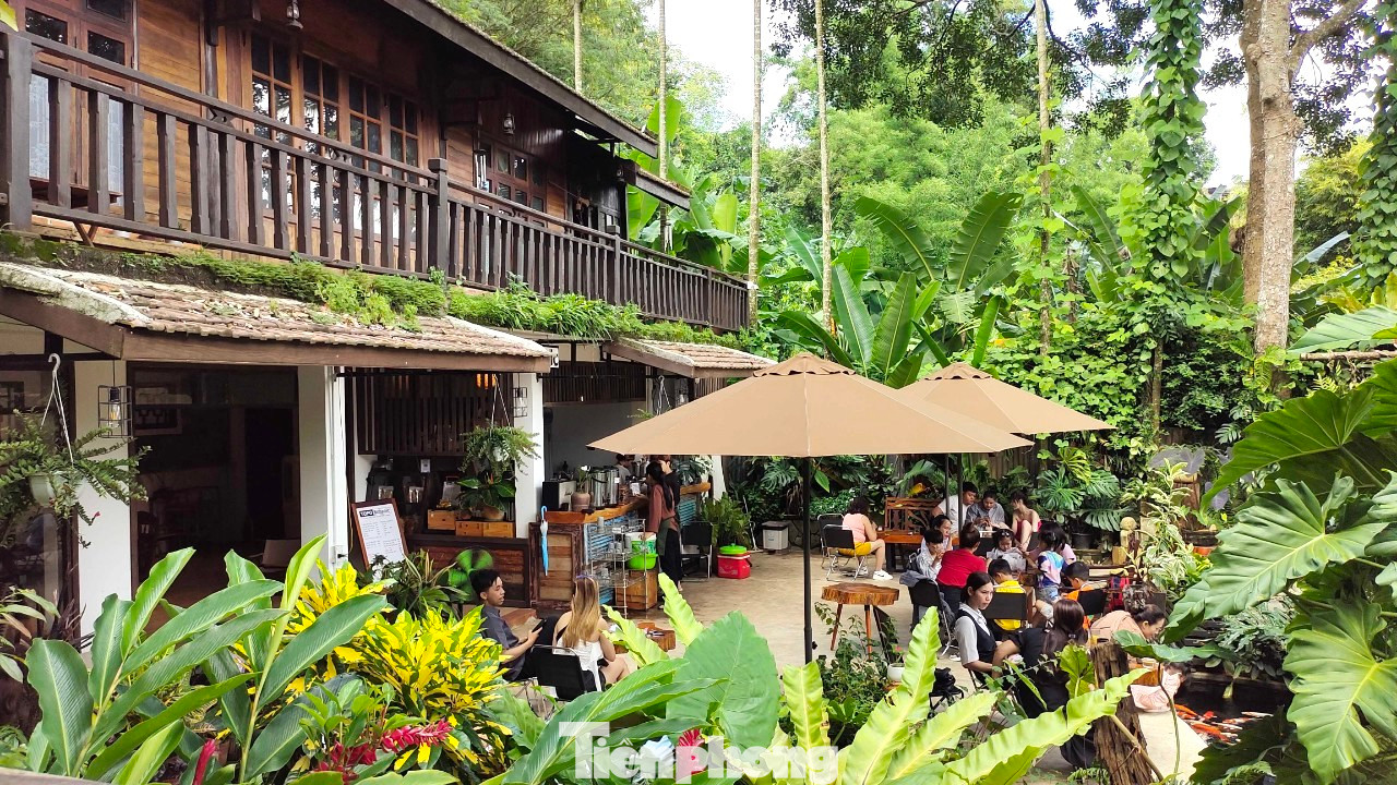 Ở TP Buôn Ma Thuột (Đắk Lắk) không khó để bắt gặp những quán cà phê với các phong cách khác nhau như tối giản, hiện đại, hoài cổ, nhiệt đới,…