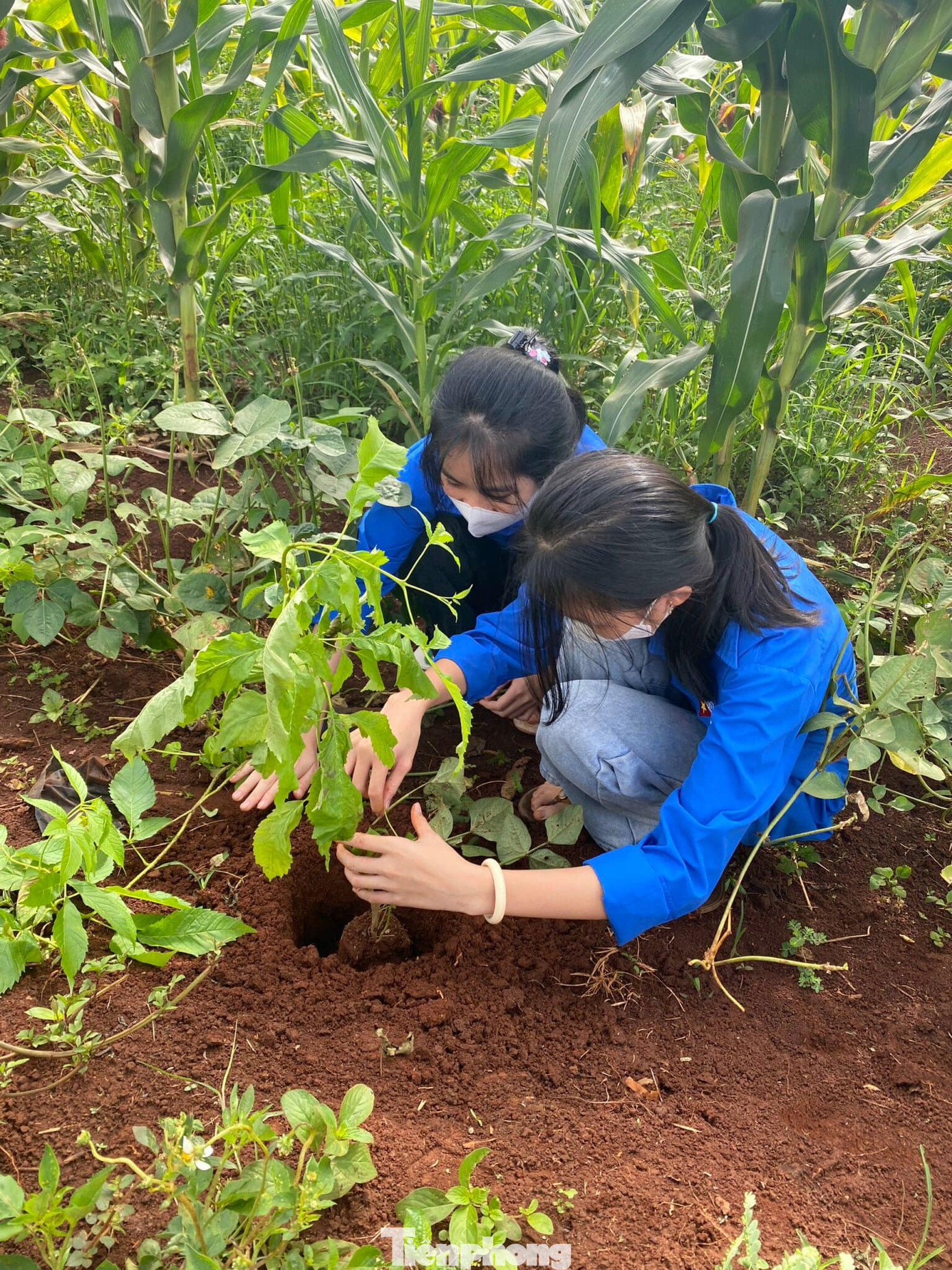 Tuổi trẻ Đắk Lắk chung tay xây dựng nông thôn mới