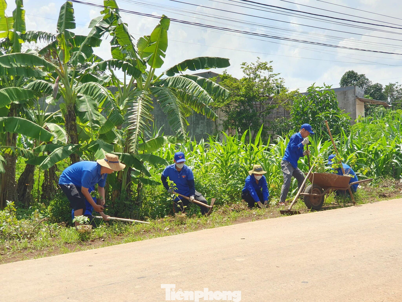 Đoàn thanh niên dọn vệ sinh môi trường