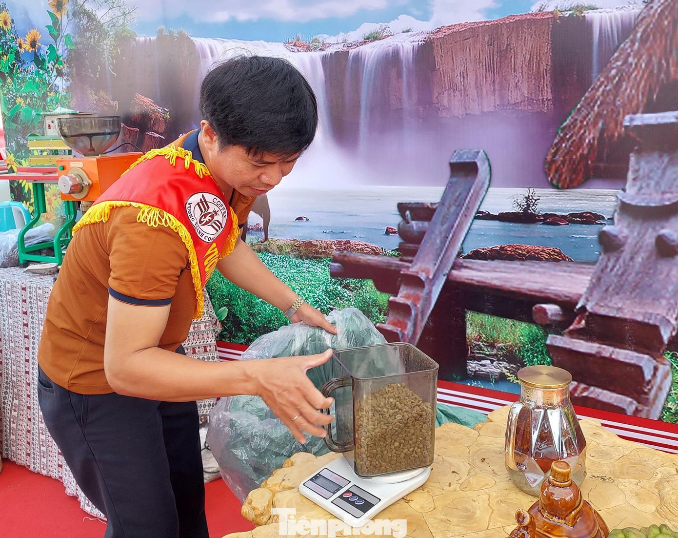 Cà phê nhân được lấy ra chuẩn bị rang Cà phê nhân được lấy ra chuẩn bị rang