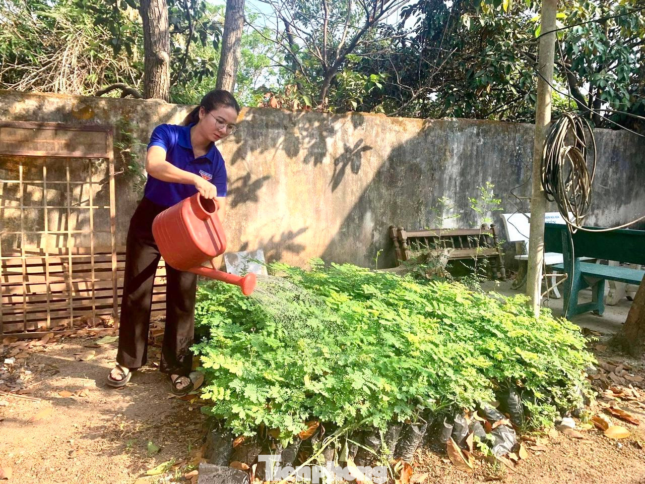 Phát huy mô hình vườn ươm đã triển khai hiệu quả những năm trước, các cơ sở Đoàn trên địa bàn huyện Lắk tiếp tục triển khai mô hình vườn ươm thanh niên. Đoàn xã Đắk Phơi xây dựng “Vườn ươm thanh niên” với trên 500 cây hoa các loại.