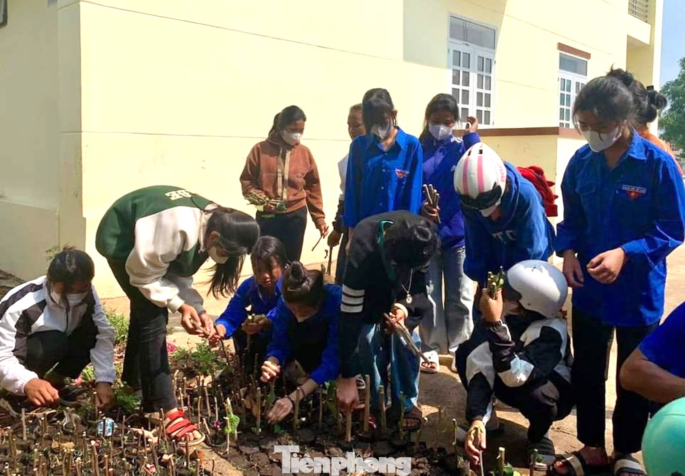 Mô hình không những tiết kiệm được chi phí mà còn cung cấp nguồn cây giống các loại hoa.