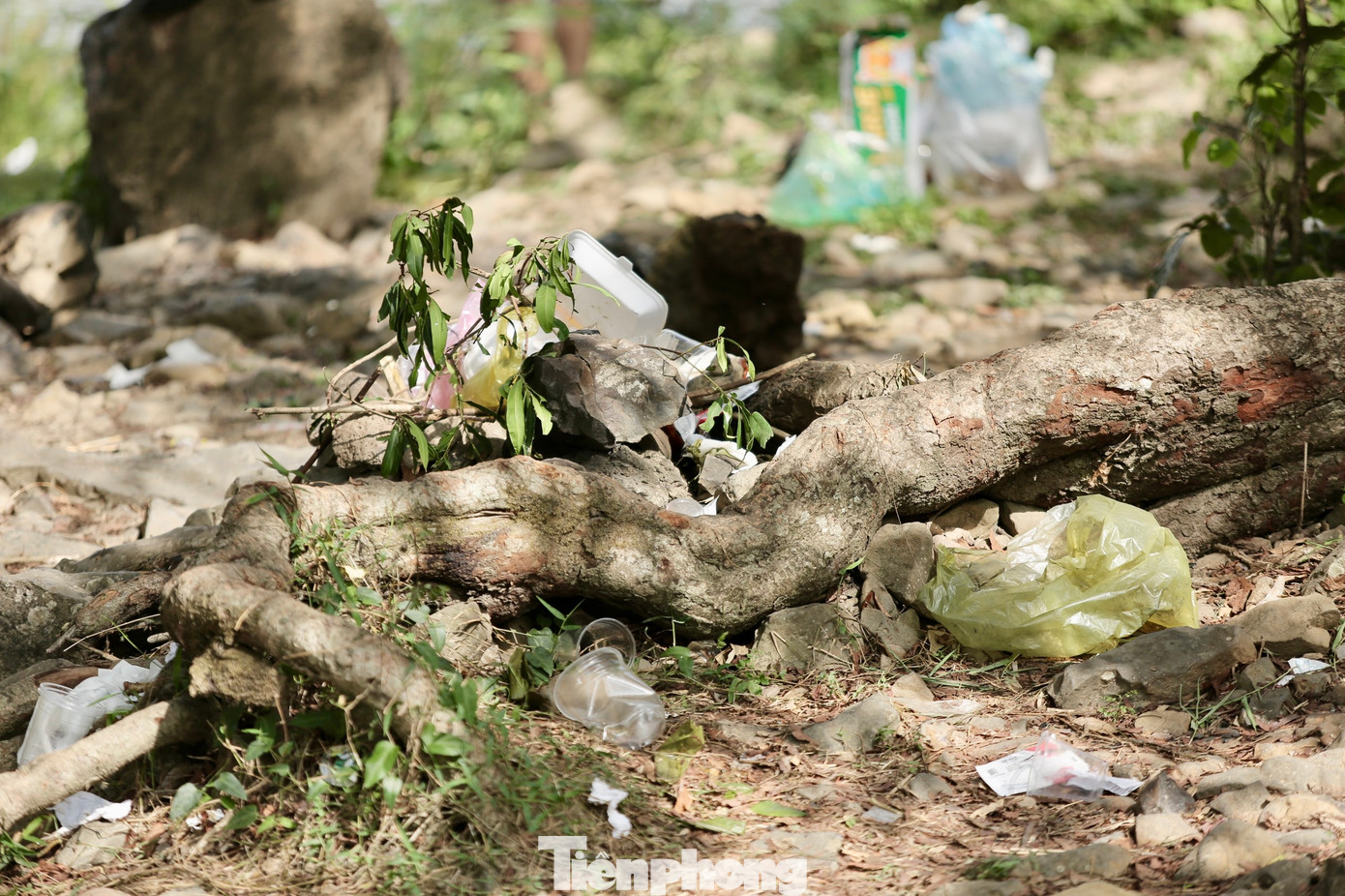 Nhiều người có ý thức gom rác, nhưng không đặt đúng chỗ, trong khi vẫn có thùng rác được bố trí ở các khu vực gần suối...