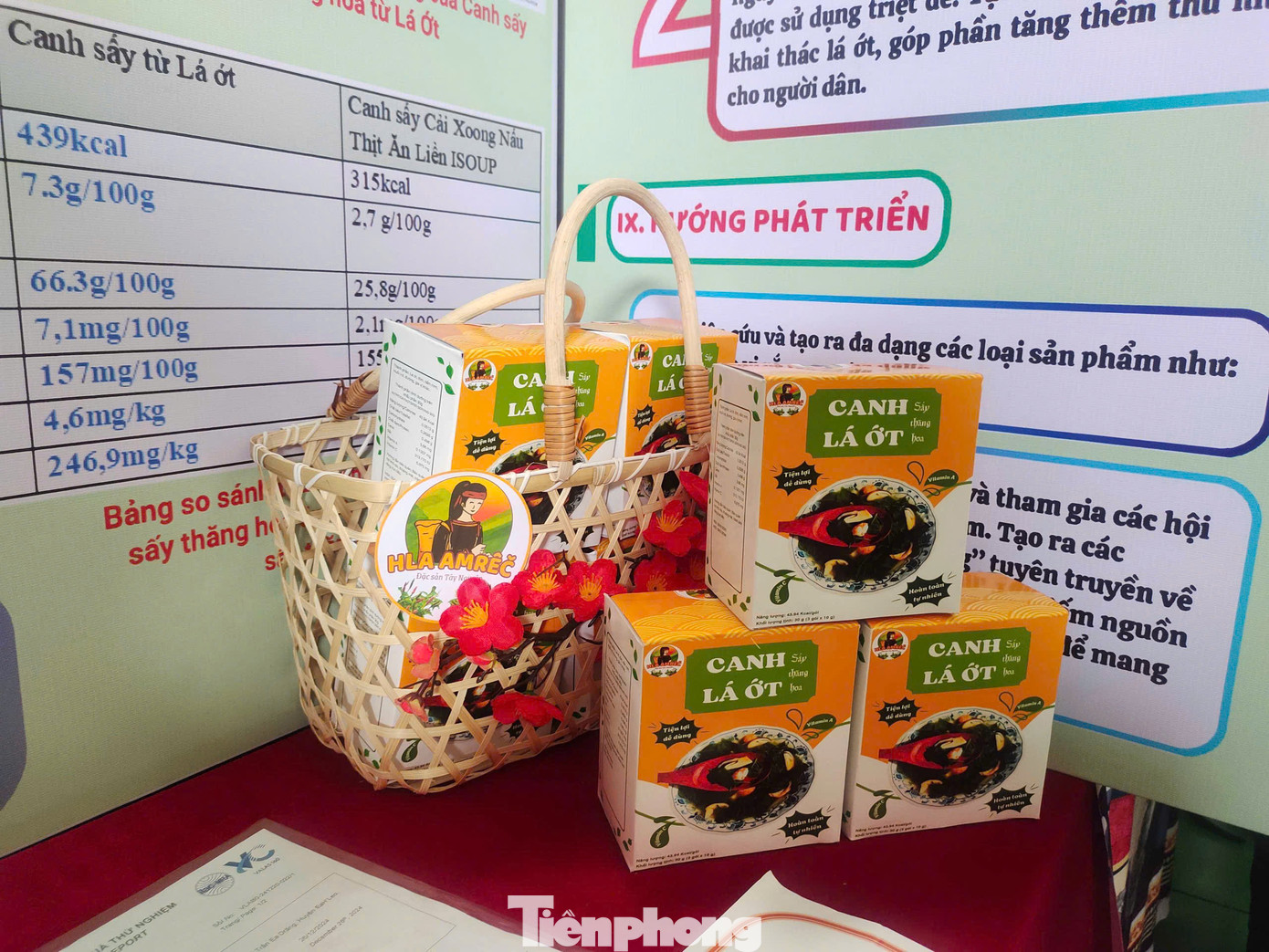 Sau khi tìm hiểu, được biết từ xa xưa, người Êđê đã dùng lá ớt để chế biến món ăn hằng ngày. Lá ớt chứa nhiều chất dinh dưỡng và chất chống oxy hóa giúp hồi phục làn da và cơ thể, có thể tăng cường hệ thống miễn dịch và kích thích sản xuất insulin cho người bị tiểu đường.