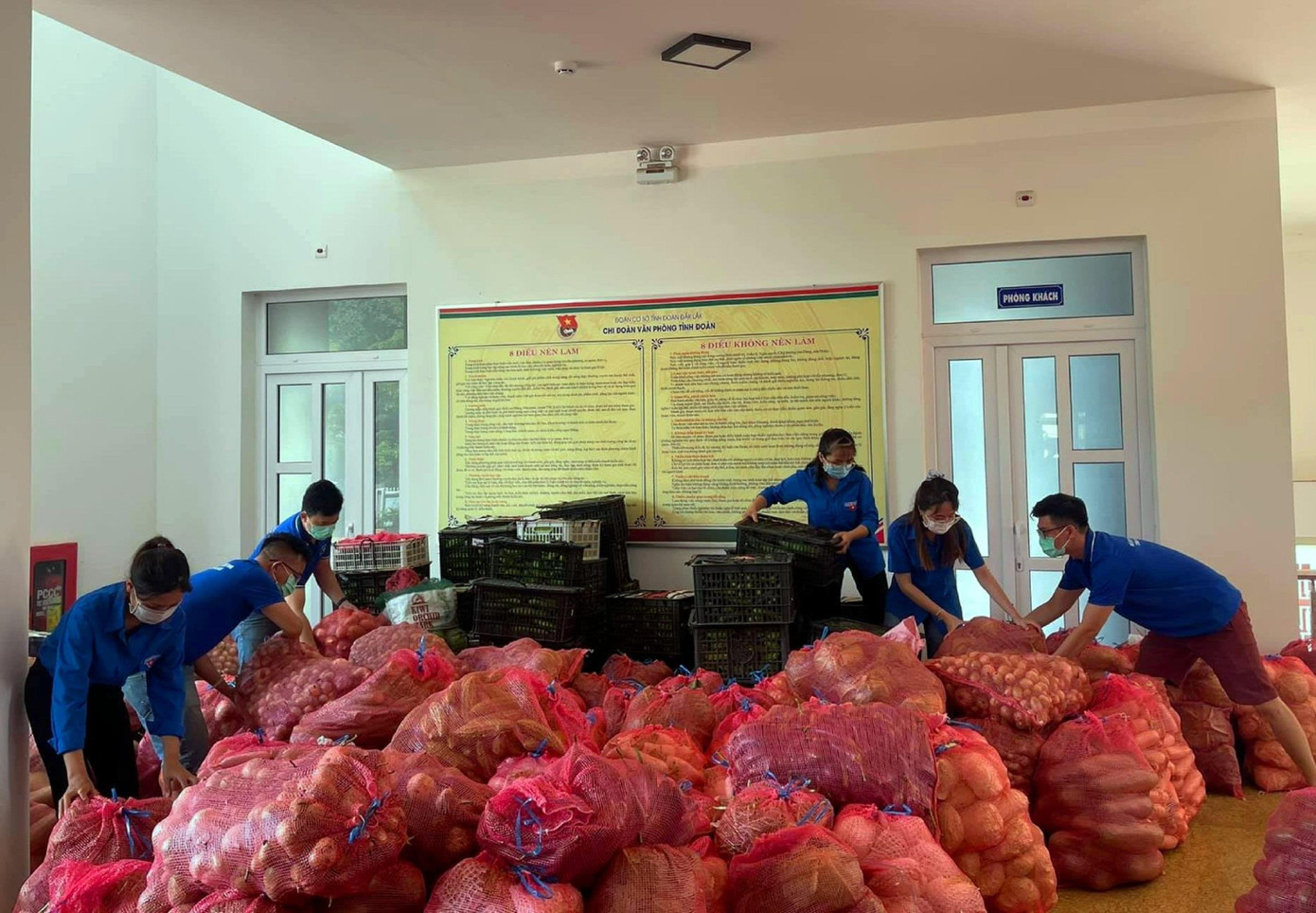 Đoàn thanh niên tỉnh đoàn hỗ trợ bốc xếp nông sản lên xe