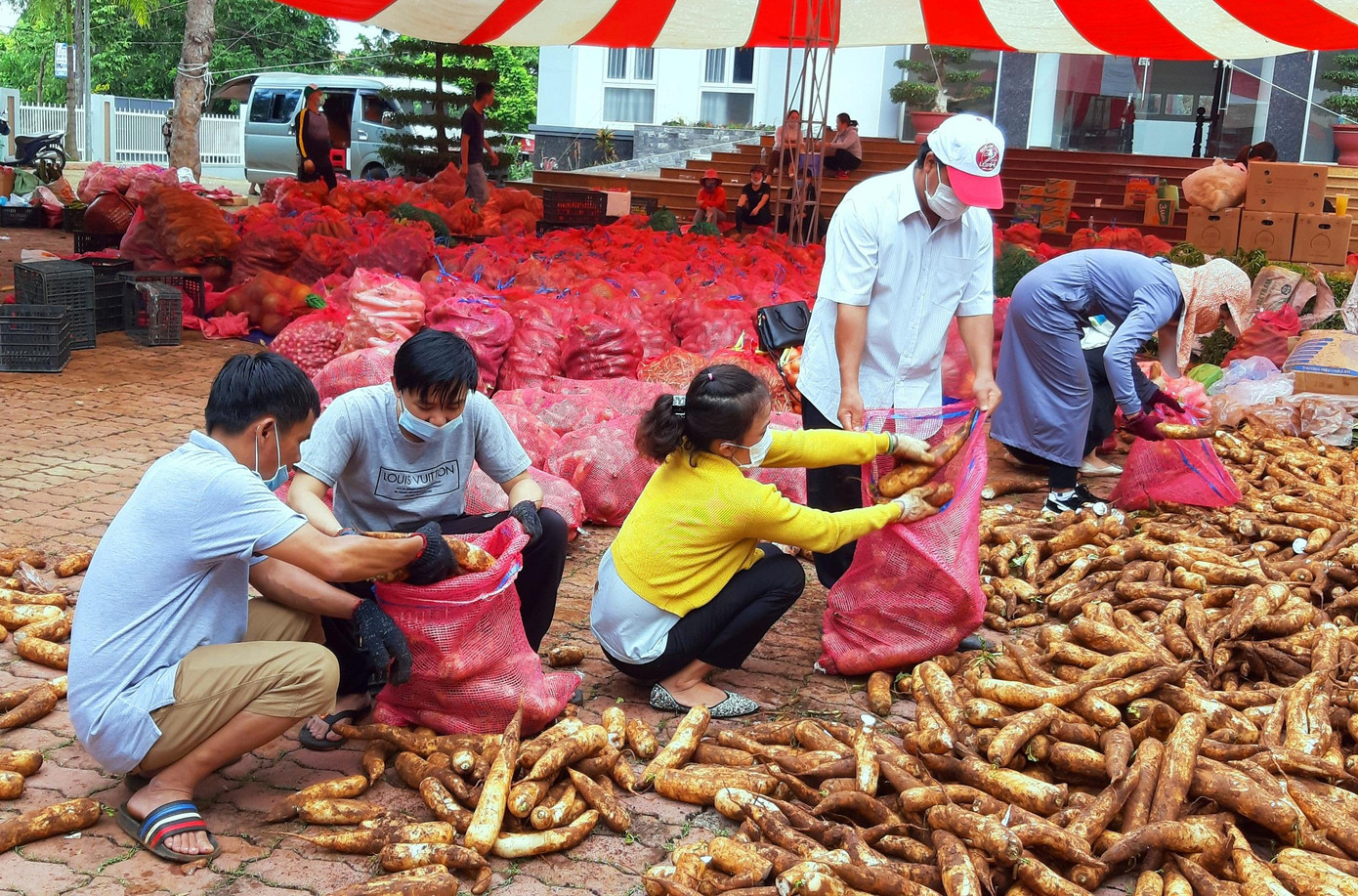 Người dân phân loại rau, củ, quả