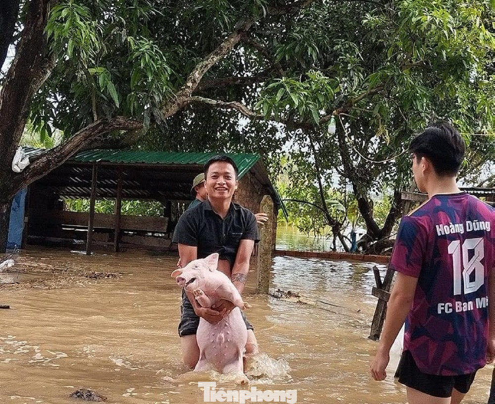 Đoàn viên thanh niên khẩn trương tham gia hỗ trợ di dời người, tài sản, vật nuôi của người dân đến nơi an toàn.