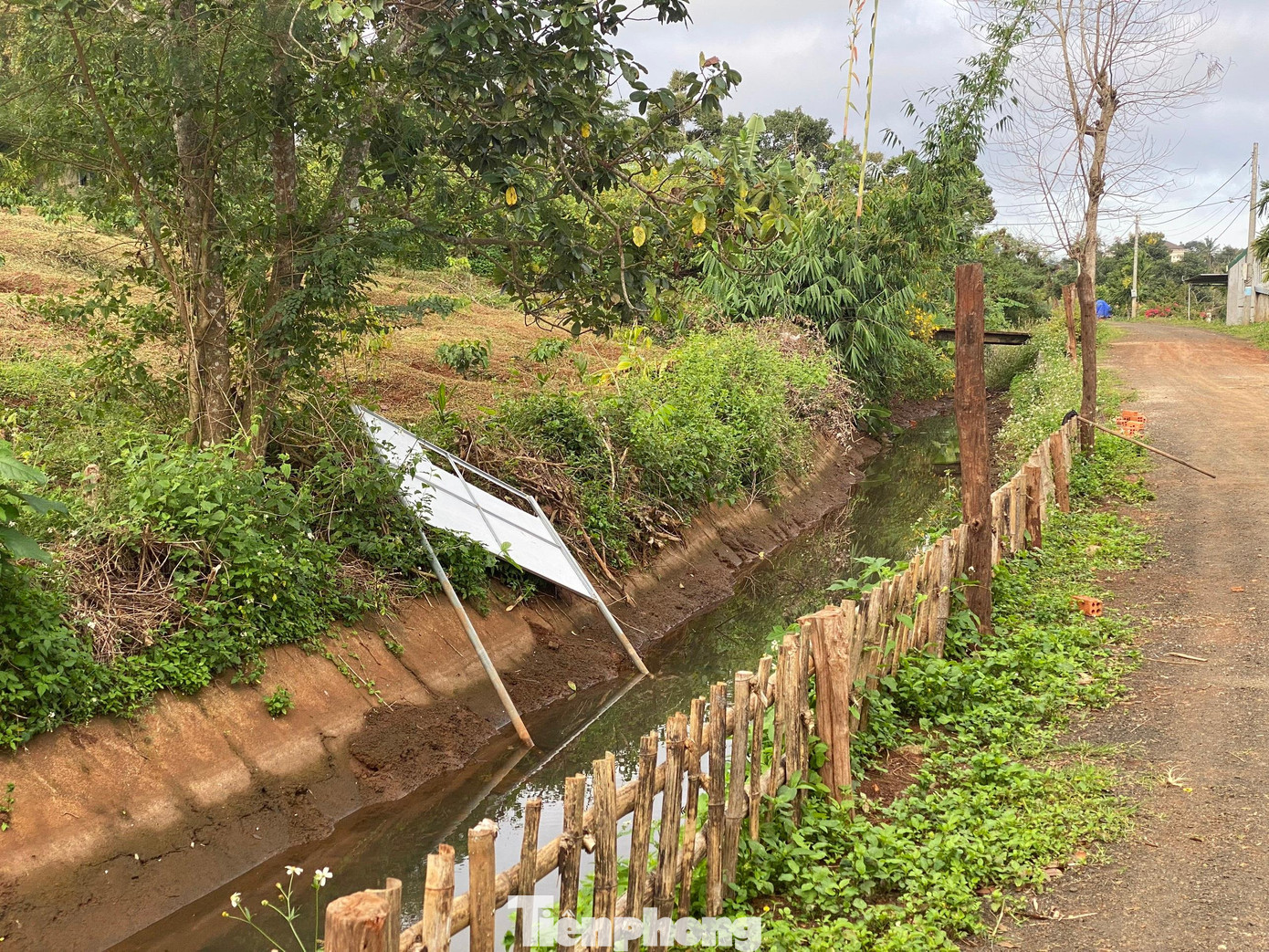 Biển quảng cáo dự án Bamboo Villas được dỡ bỏ