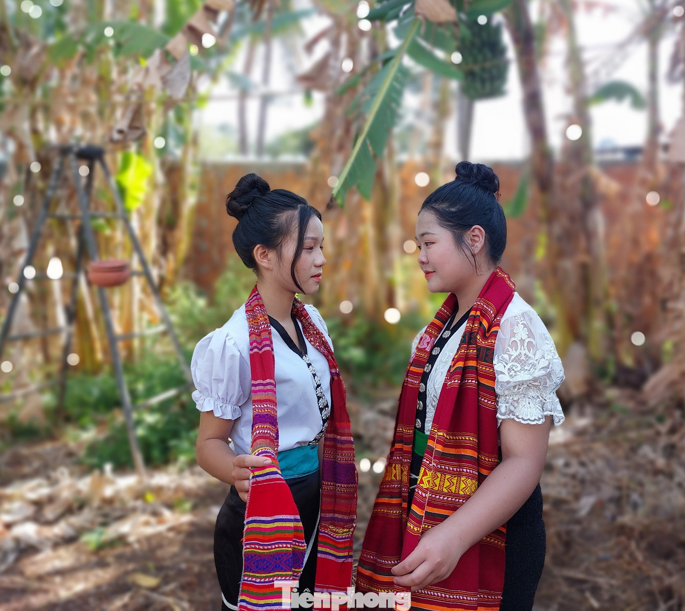 Cộng đồng dân tộc Thái ở xã Hòa Phú chủ yếu từ các tỉnh Sơn La, Lai Châu di cư vào lập nghiệp từ cuối năm 1960. Đến nay, xã Hòa Phú có gần 600 hộ dân người Thái, với 2.500 nhân khẩu.