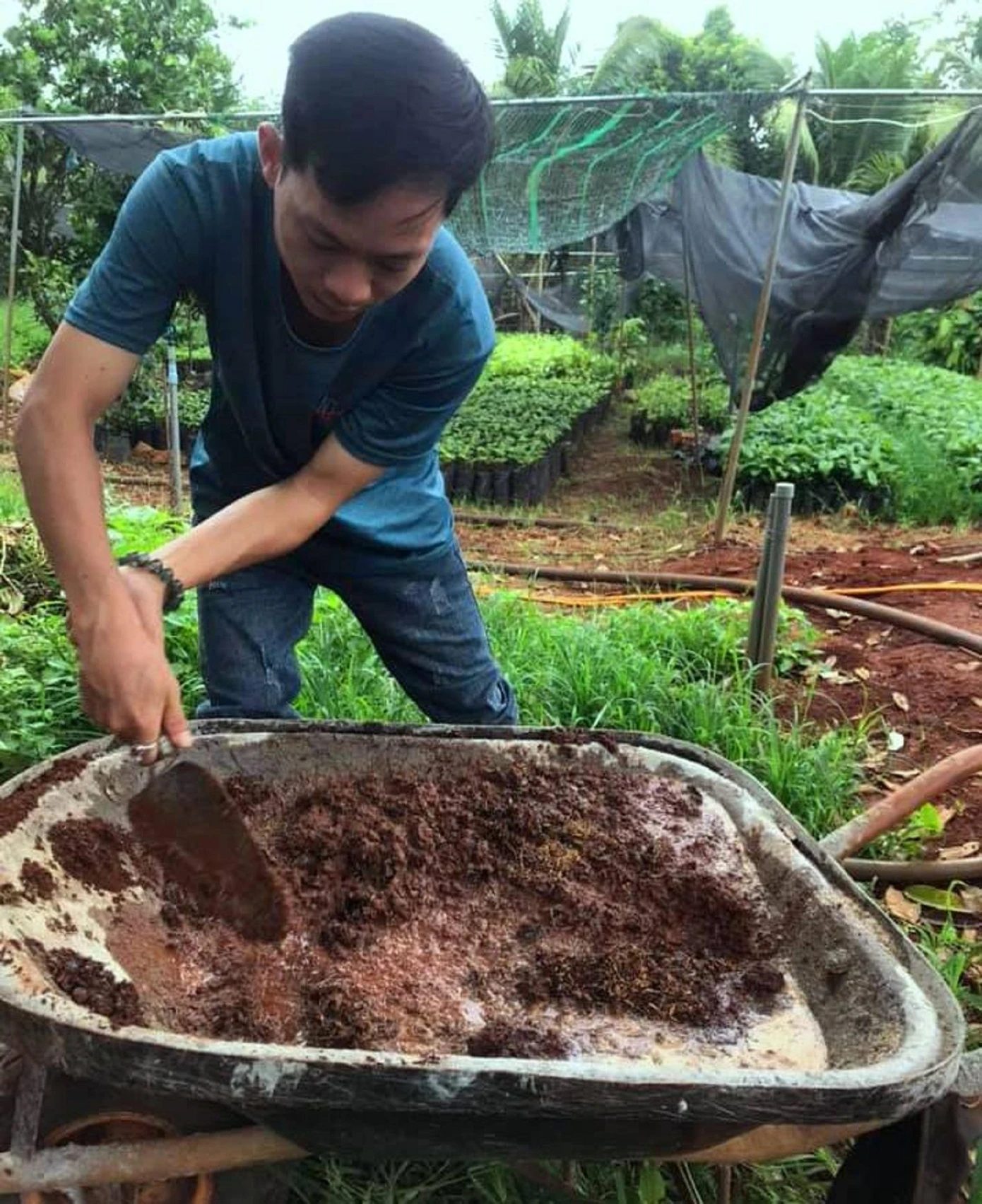 Trộn đất sét, phân, nước, mùn làm vỏ bọc hạt giống