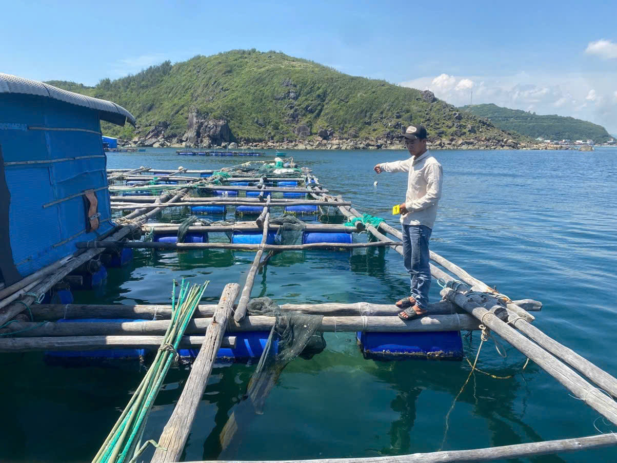 Nơi các đối tượng cất giấu tôm hùm sau khi trộm cắp của ông B. Ảnh VKS.