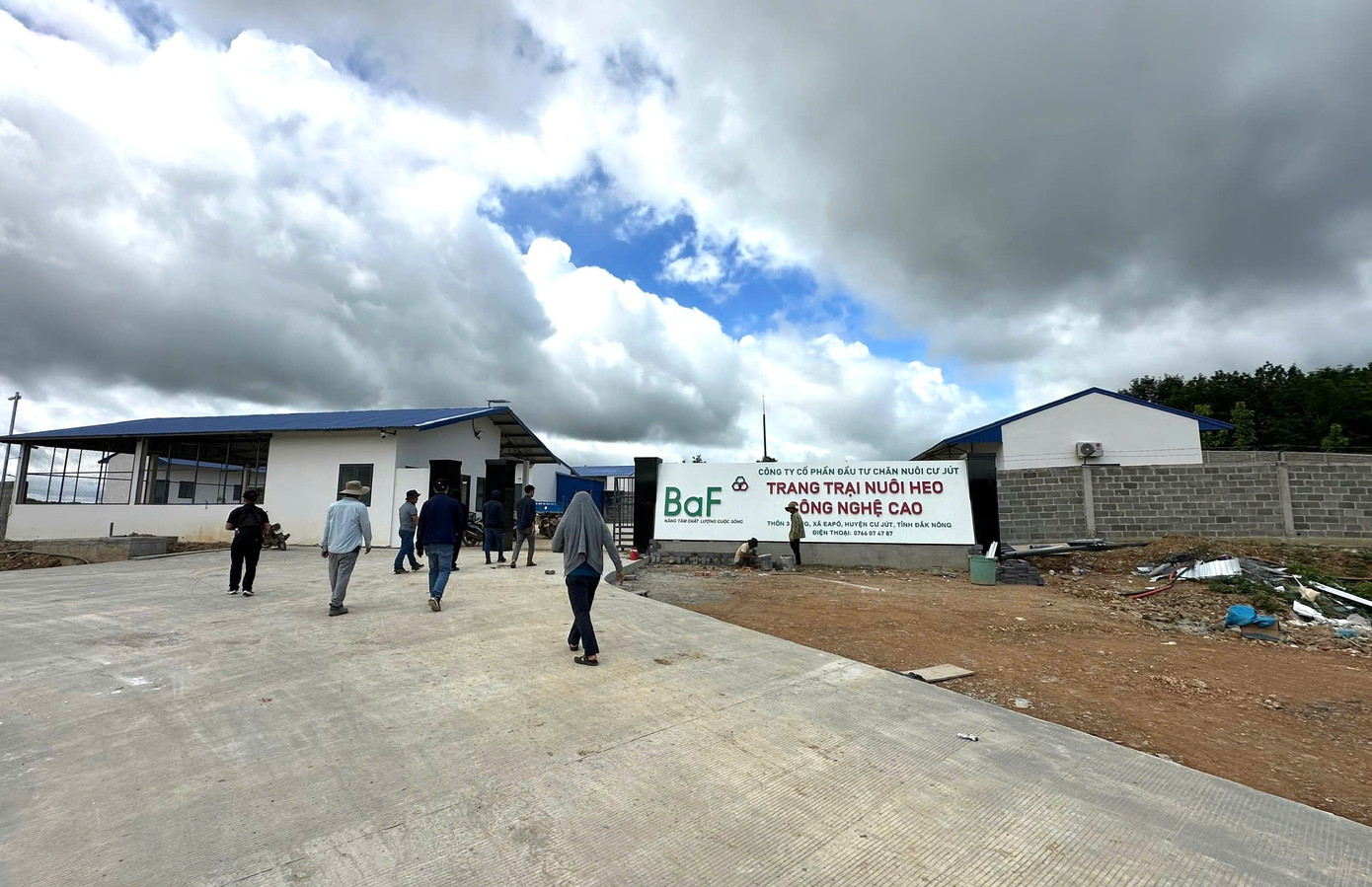 Trang trại chăn nuôi heo hậu bị Cư Jút của Công ty Cổ phần đầu tư chăn nuôi Cư Jút