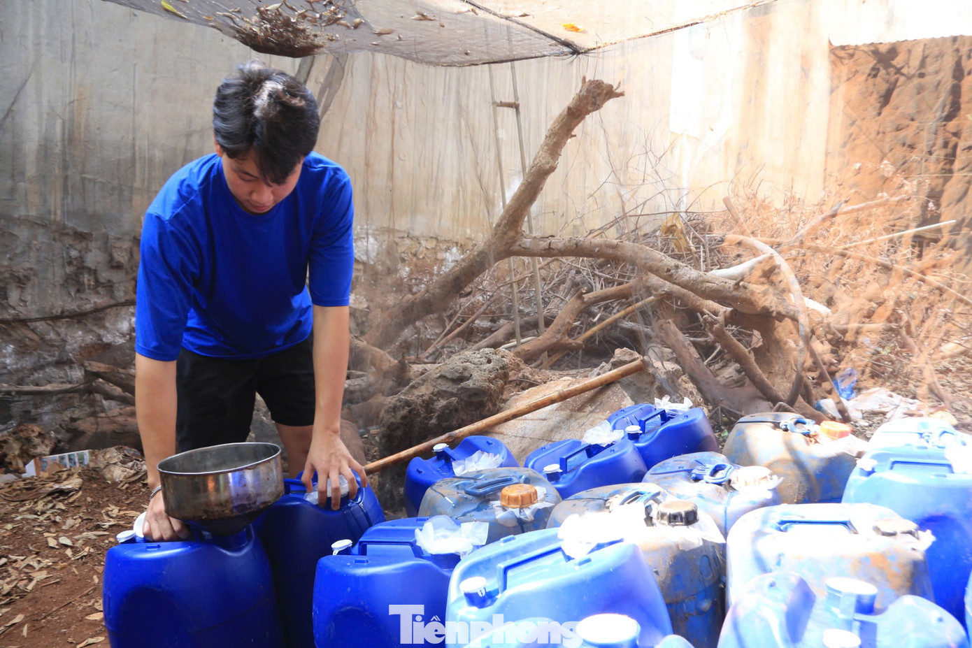 Mật ong sau khi thu hoạch được người nuôi ong đóng vào từng can để bảo quản, xuất bán.