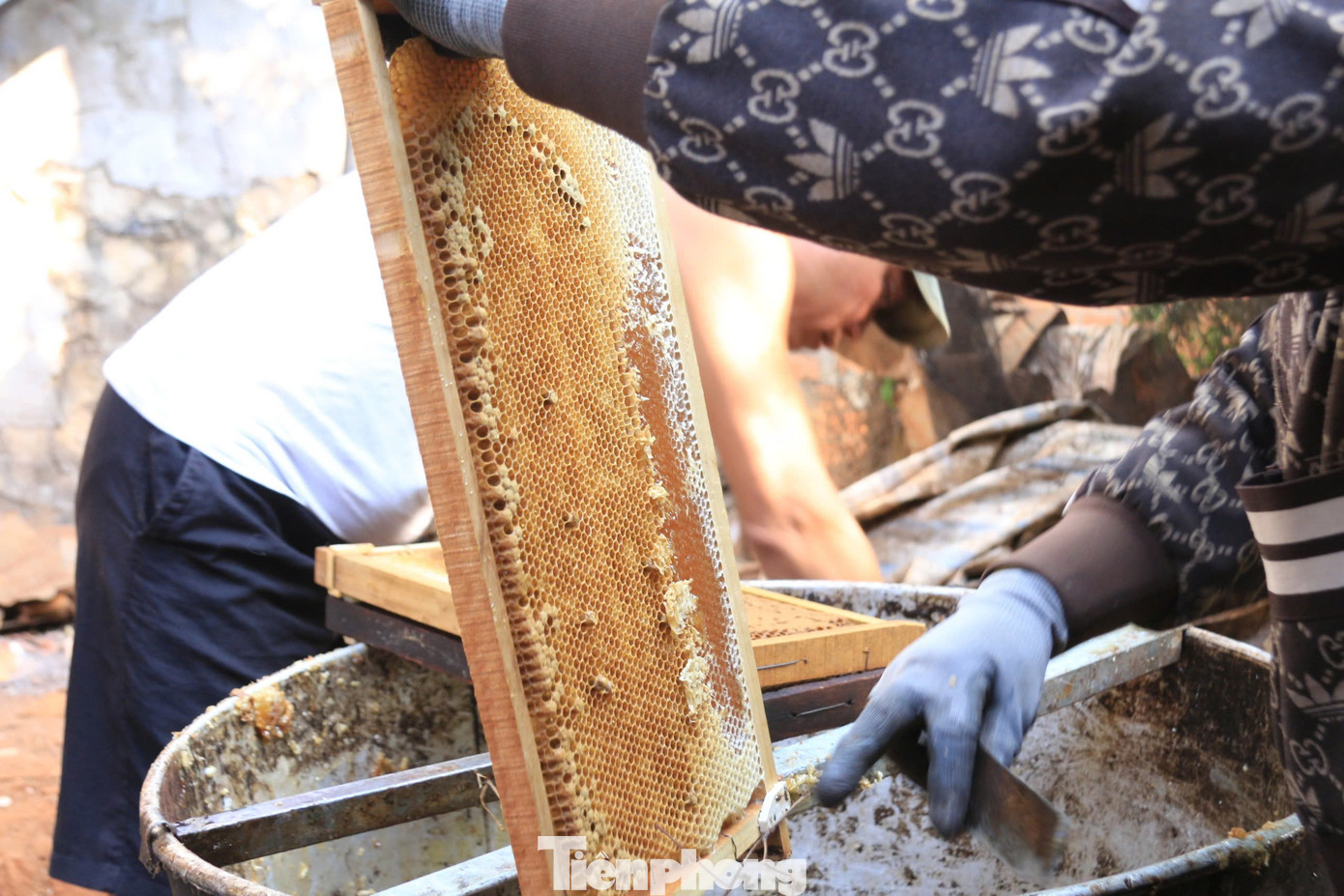 Những cầu ong óng ánh sắc vàng, căng tràn mật ngọt, mang đến niềm vui cho người nuôi ong.