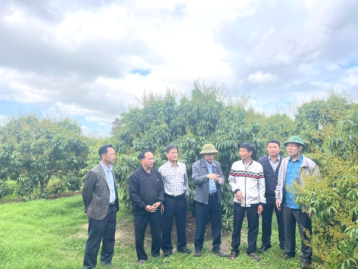 Nhiều mô hình trồng vải của người dân mang lại hiệu quả kinh tế. Nhiều mô hình trồng vải của người dân mang lại hiệu quả kinh tế.