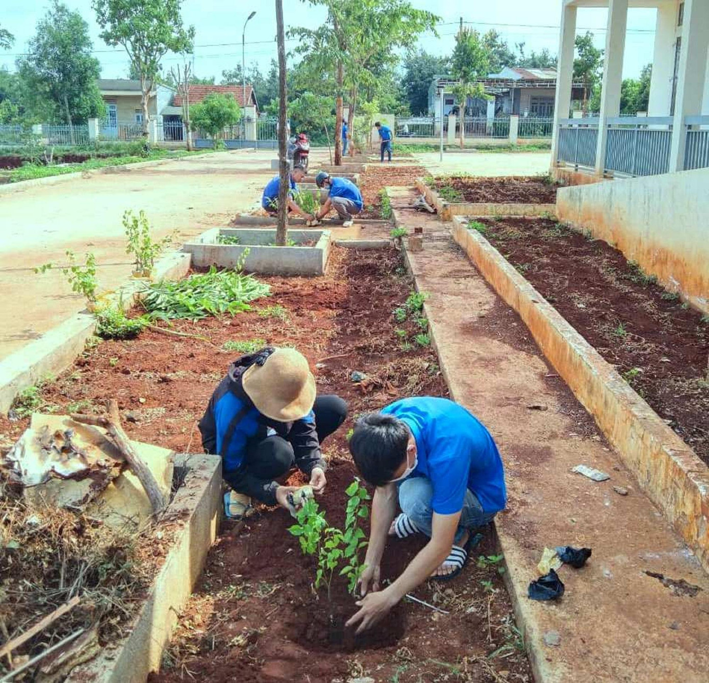 Trồng 350 cây xanh Trồng 350 cây xanh