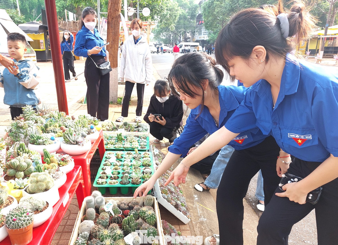 Tham gia đổi pin cũ lấy sen đá, học sinh Nguyễn Như Quỳnh Anh (lớp 11, Trường THPT Trần Phú, TP Buôn Ma Thuột) cho biết, em và các bạn mang 20 pin cũ đến đổi được 4 cây sen đá. Đây là một chương trình rất ý nghĩa, nhằm bảo vệ môi trường, mỗi bạn được nhận cây về trồng để tạo không gian xanh quanh chúng ta.