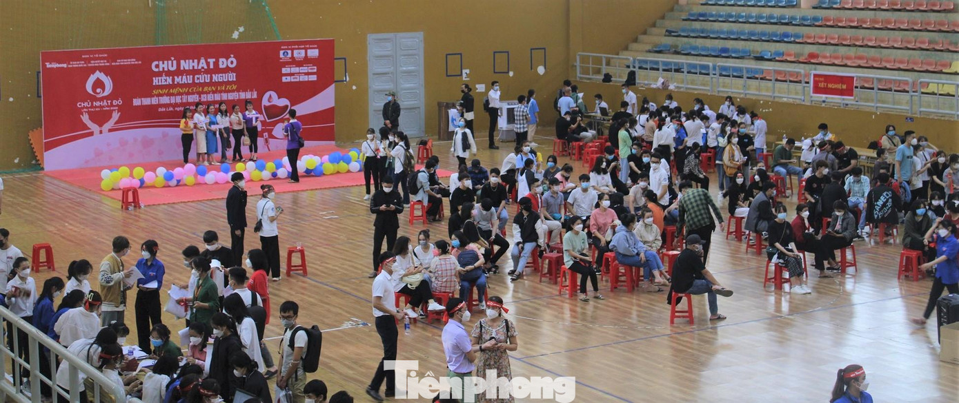 Tình nguyện viên tham gia chương trình Chủ nhật Đỏ Tình nguyện viên tham gia chương trình Chủ nhật Đỏ