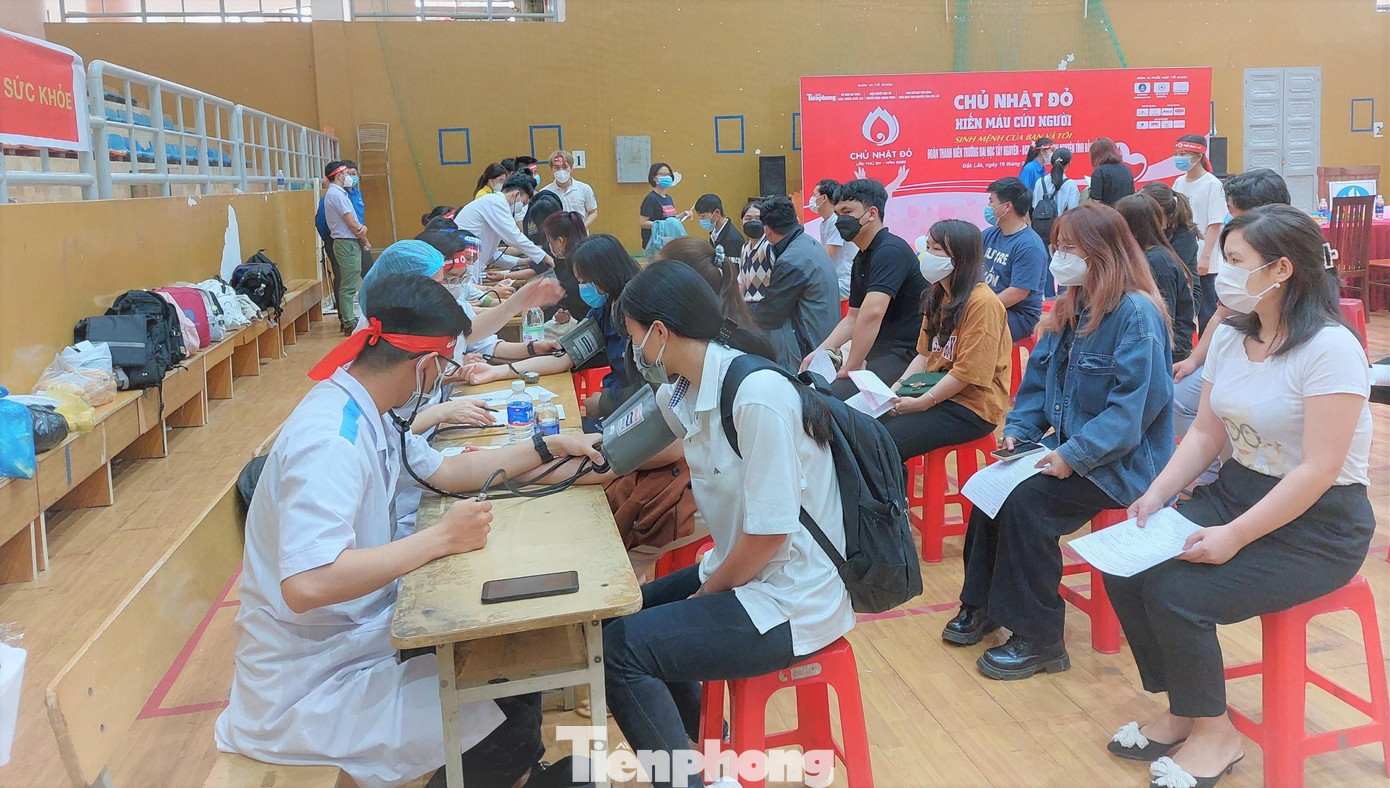 Các y bác sĩ khám sàng lọc trước cho tình nguyện viên trước khi hiến máu Các y bác sĩ khám sàng lọc trước cho tình nguyện viên trước khi hiến máu