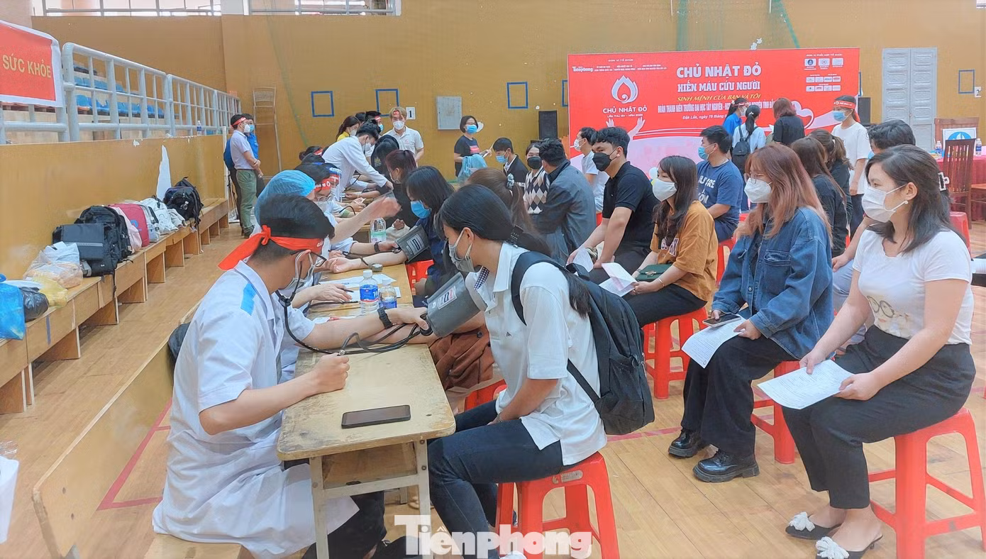 Các y bác sĩ khám sàng lọc trước cho tình nguyện viên trước khi hiến máu