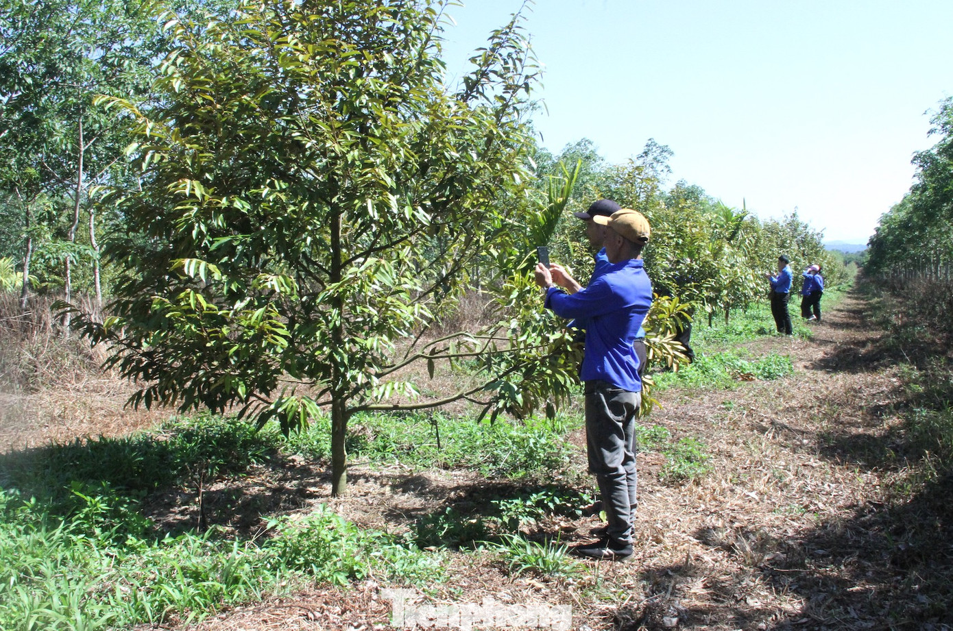 Đoàn viên thanh niên sẽ được tập huấn, trải nghiệm trước về việc số hoá Đoàn viên thanh niên sẽ được tập huấn, trải nghiệm trước về việc số hoá