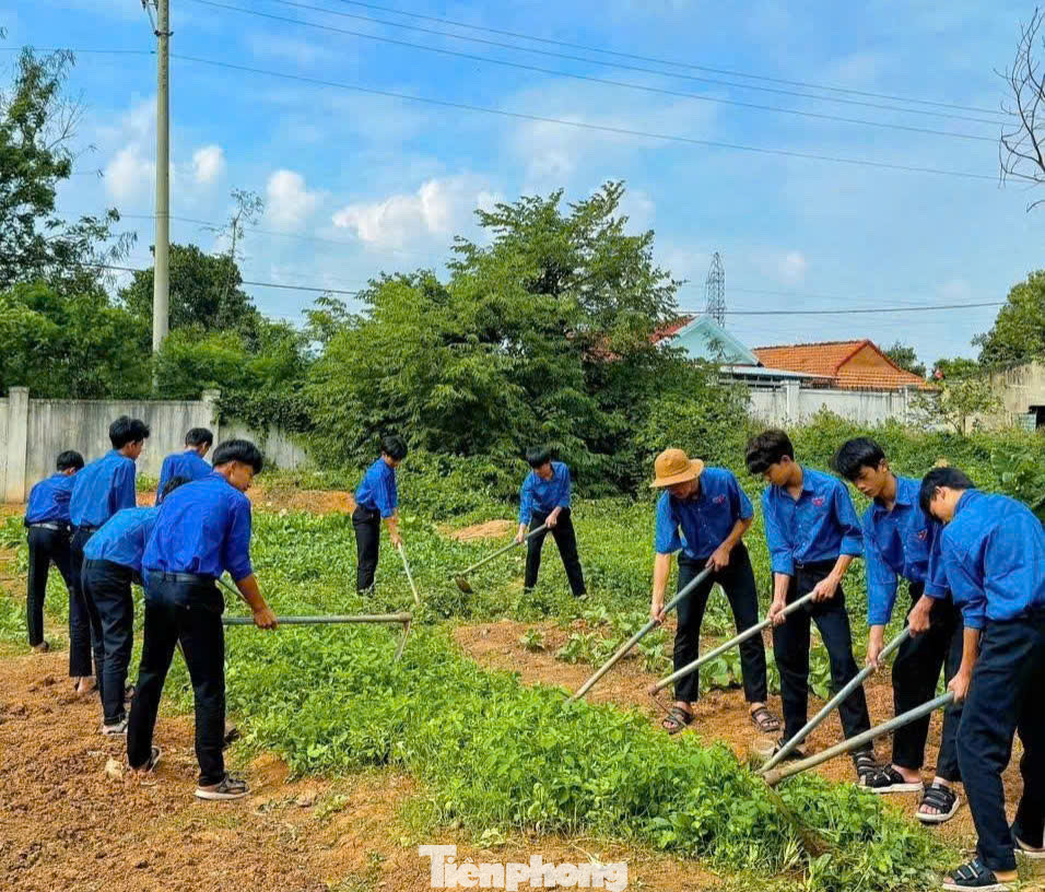 Tháng Thanh niên 2025, các cấp bộ đoàn toàn tỉnh Đắk Lắk đã thành lập 297 đội hình tình nguyện thực hiện 268 công trình, phần việc. Hưởng ứng phong trào “Chung tay xóa nhà tạm, nhà dột nát trên phạm vi cả nước trong năm 2025”, các cấp bộ đoàn đã chung tay xóa 32 căn nhà tạm, nhà dột nát, đoàn viên, thanh niên hỗ trợ gần 1.400 ngày công.
