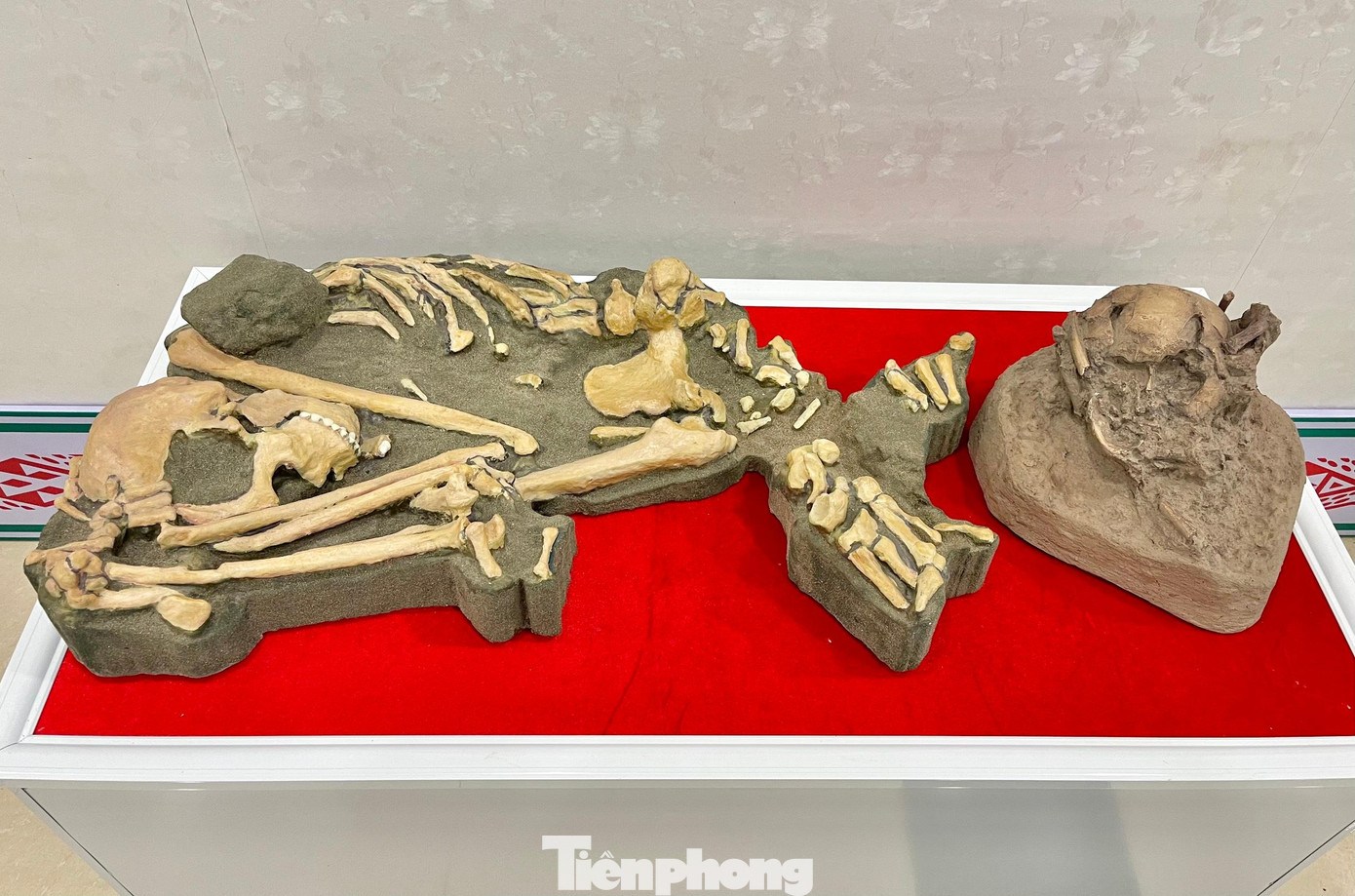 Di cốt người tiền sử được phát hiện tại hang C6.1 Di cốt người tiền sử được phát hiện tại hang C6.1