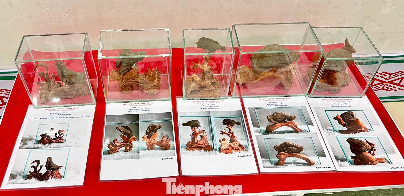 Bộ sưu tập mang tên “Vẫy gọi bình minh” được rao bán tại triển lãm Bộ sưu tập mang tên “Vẫy gọi bình minh” được rao bán tại triển lãm