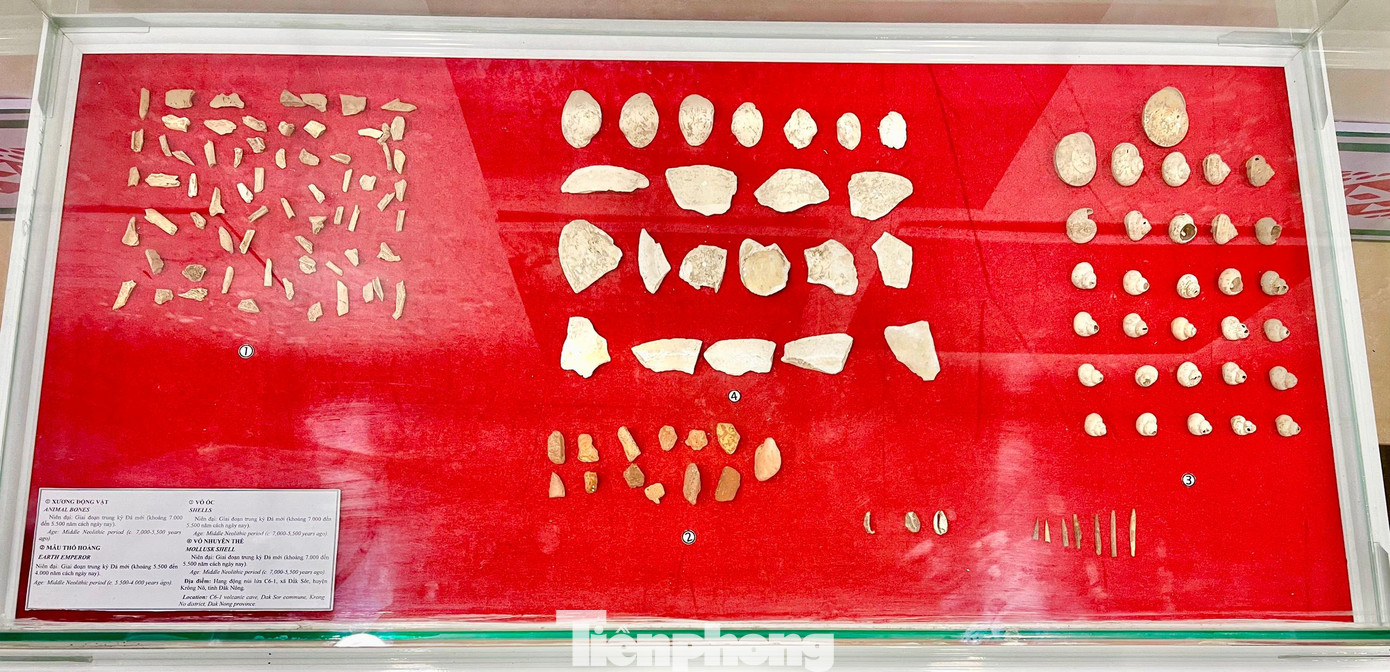 Xương động vật, mẫu thổ hoàng, vỏ ốc, vỏ nhuyễn thể có niên đại cách đây từ 5.500 - 4.000 năm Xương động vật, mẫu thổ hoàng, vỏ ốc, vỏ nhuyễn thể có niên đại cách đây từ 5.500 - 4.000 năm