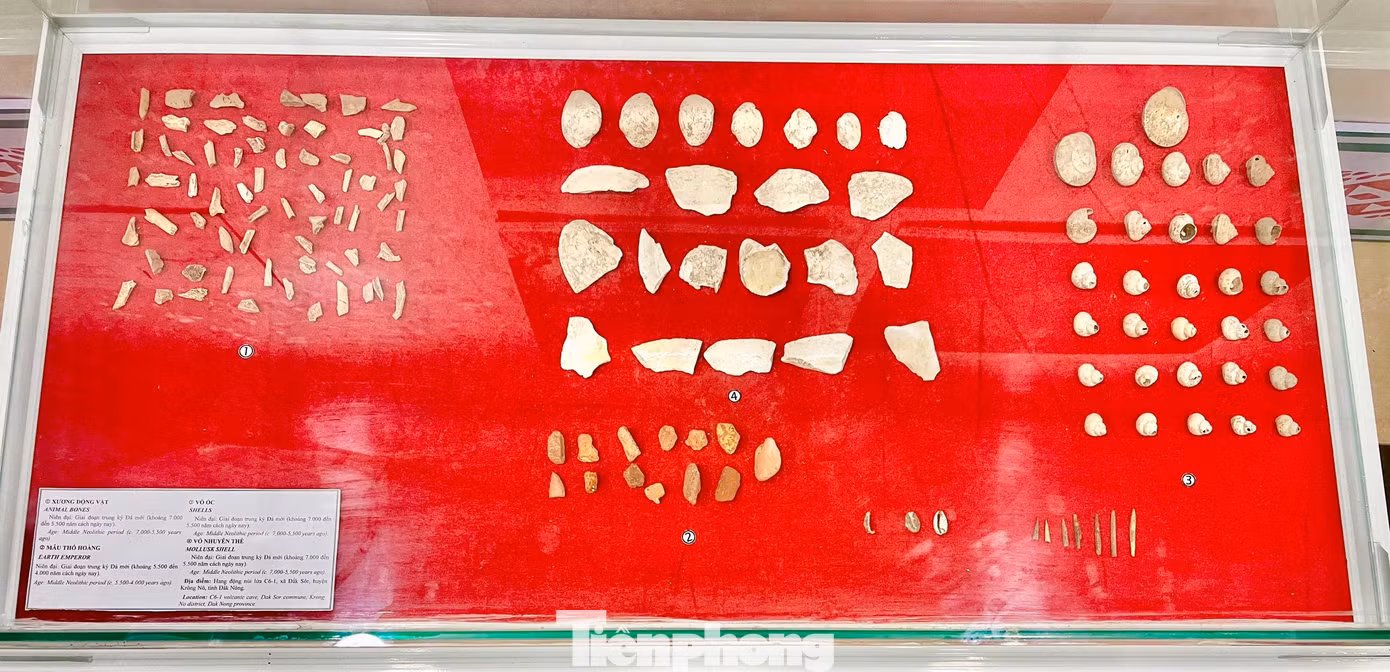 Xương động vật, mẫu thổ hoàng, vỏ ốc, vỏ nhuyễn thể có niên đại cách đây từ 5.500 - 4.000 năm Xương động vật, mẫu thổ hoàng, vỏ ốc, vỏ nhuyễn thể có niên đại cách đây từ 5.500 - 4.000 năm