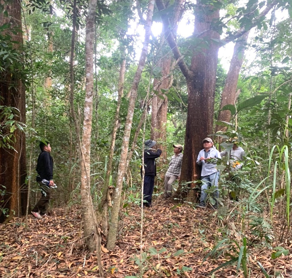 Lực lượng chức năng tuần tra tại rừng phòng hộ Krông Năng. Lực lượng chức năng tuần tra tại rừng phòng hộ Krông Năng.