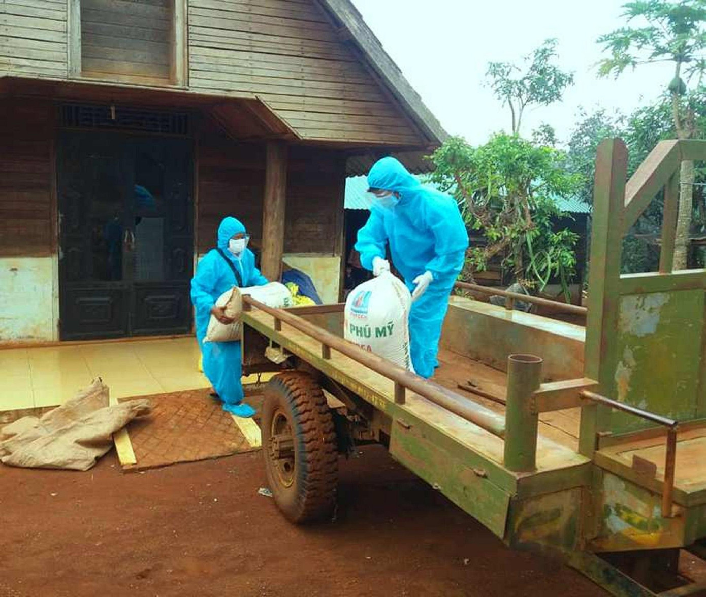 Tình nguyện viên bốc lúa lên xe Tình nguyện viên bốc lúa lên xe