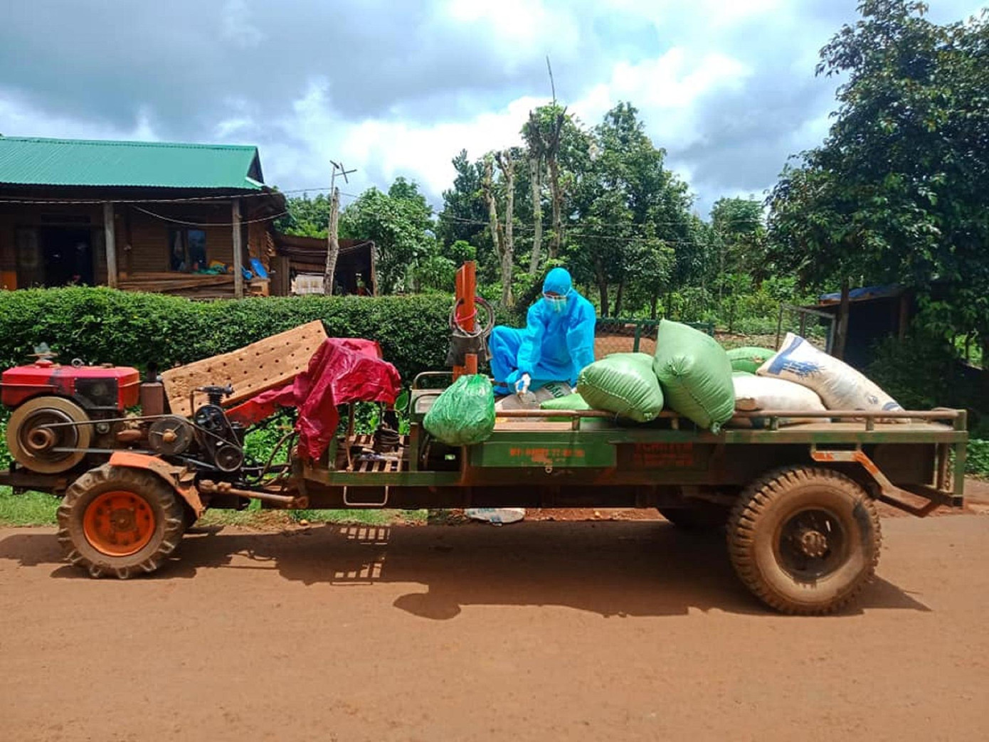Tình nguyện viên chở lúa đi xay Tình nguyện viên chở lúa đi xay