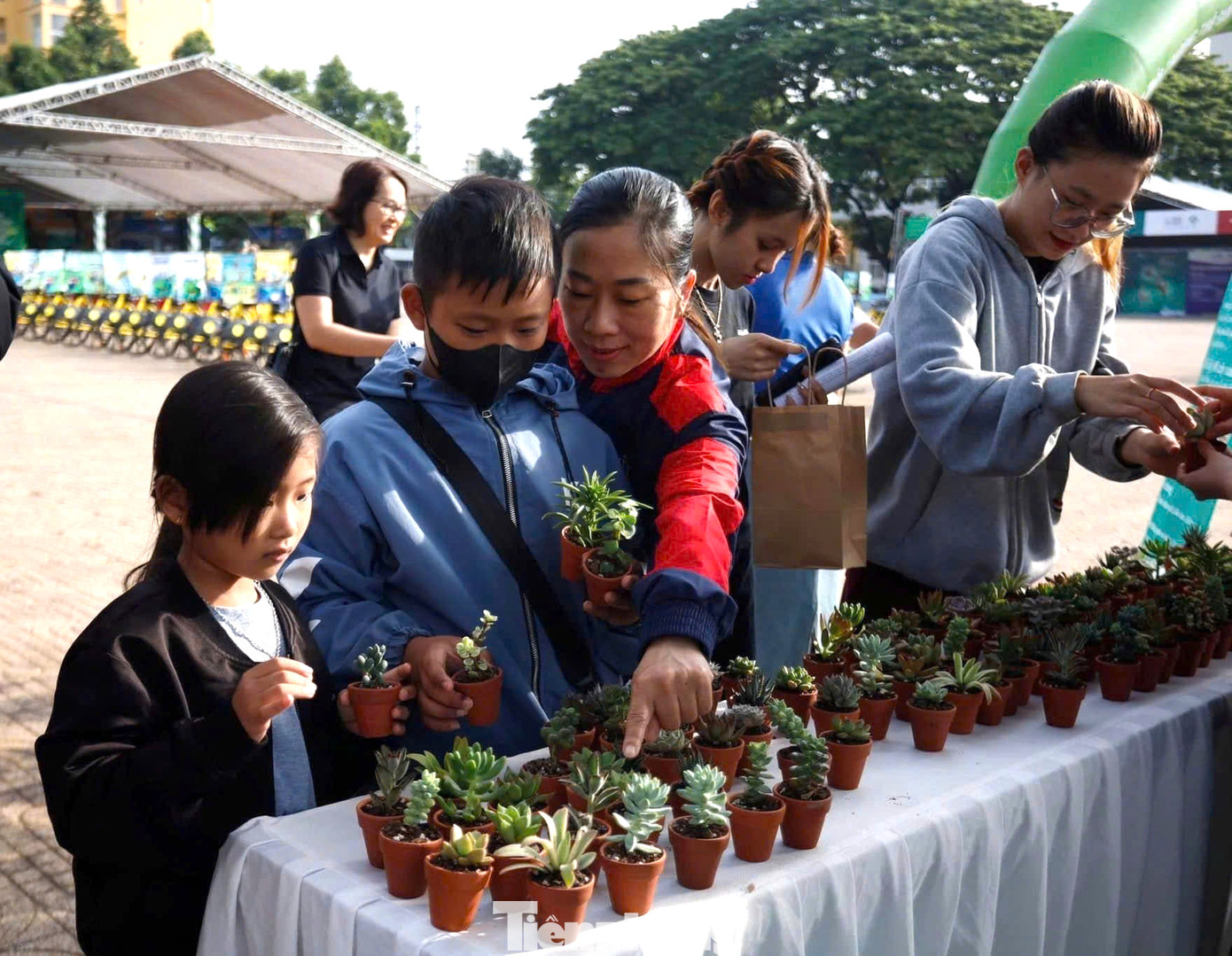 Mọi người tham gia đổi pin lấy sen đá Mọi người tham gia đổi pin lấy sen đá