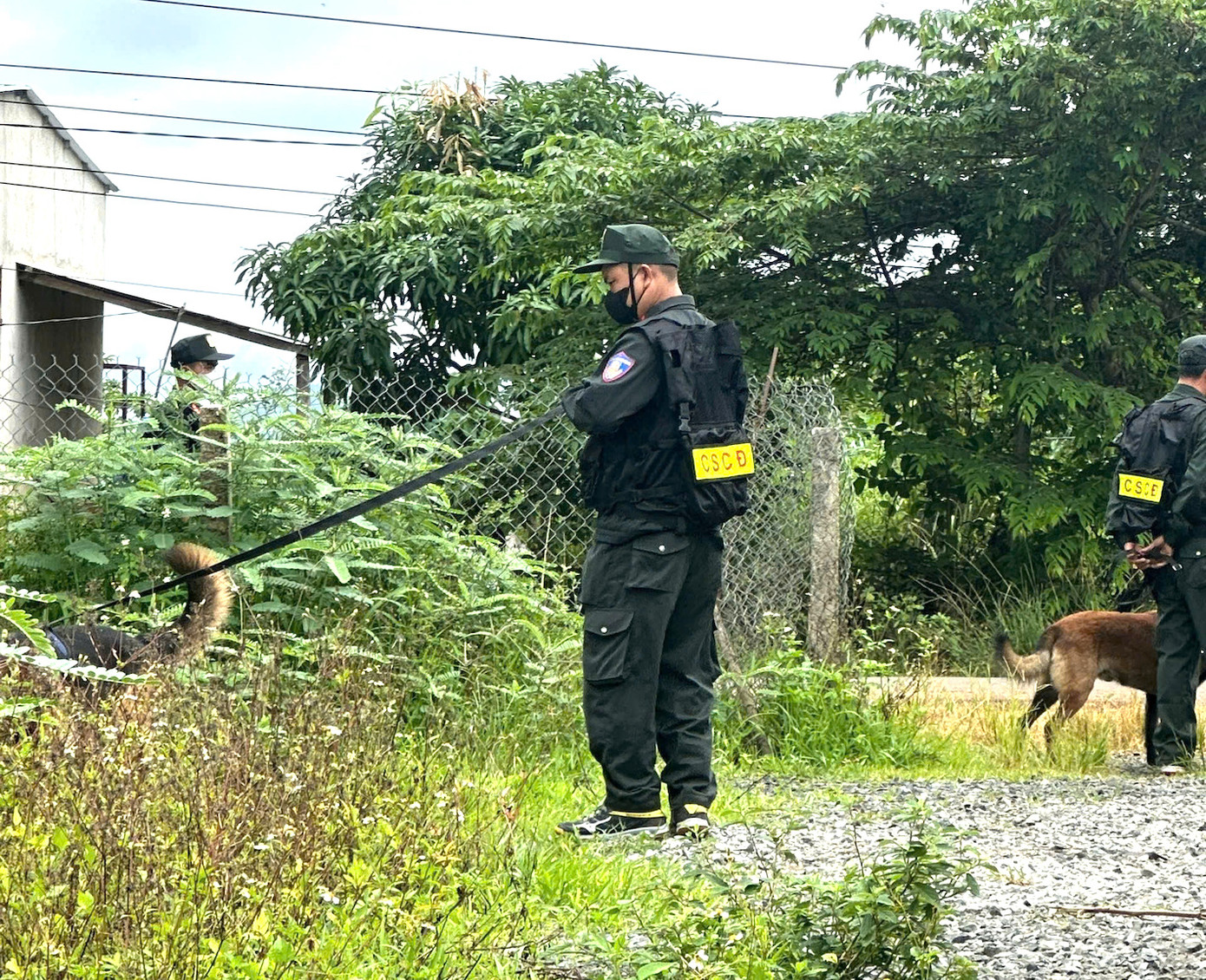 Chó nghiệp vụ hỗ trợ việc khám xét khu vực nhà của cặp tình nhân mua bán trái phép chất ma túy.